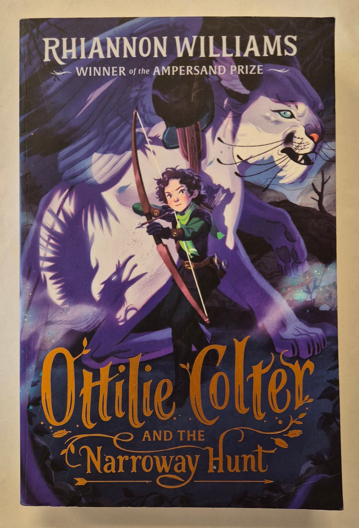 Ottilie Colter and the Narroway Hunt (The Narroway Trilogy #1) by Rhiannon Williams