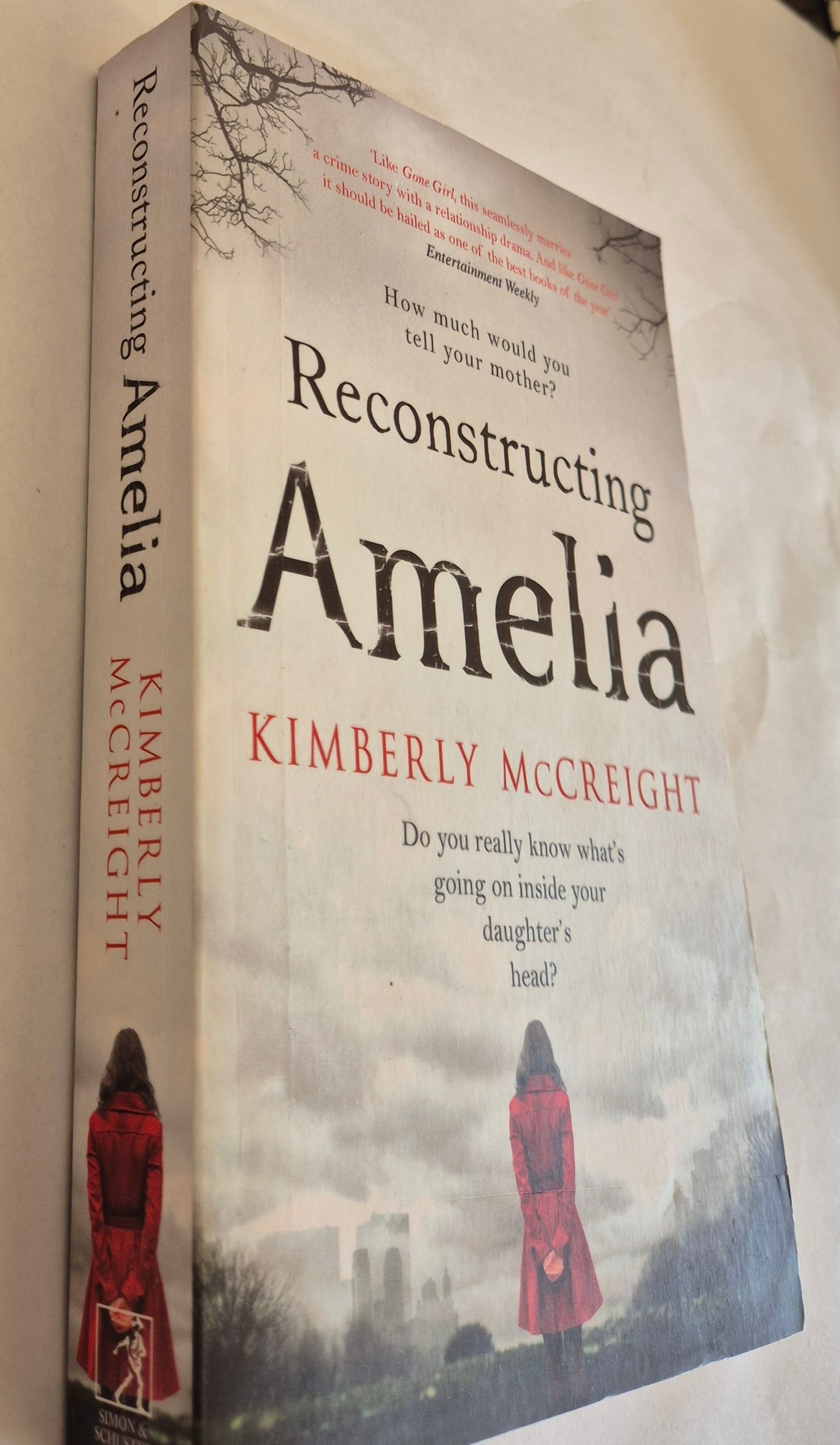 Reconstructing Amelia by Kimberly McCreight