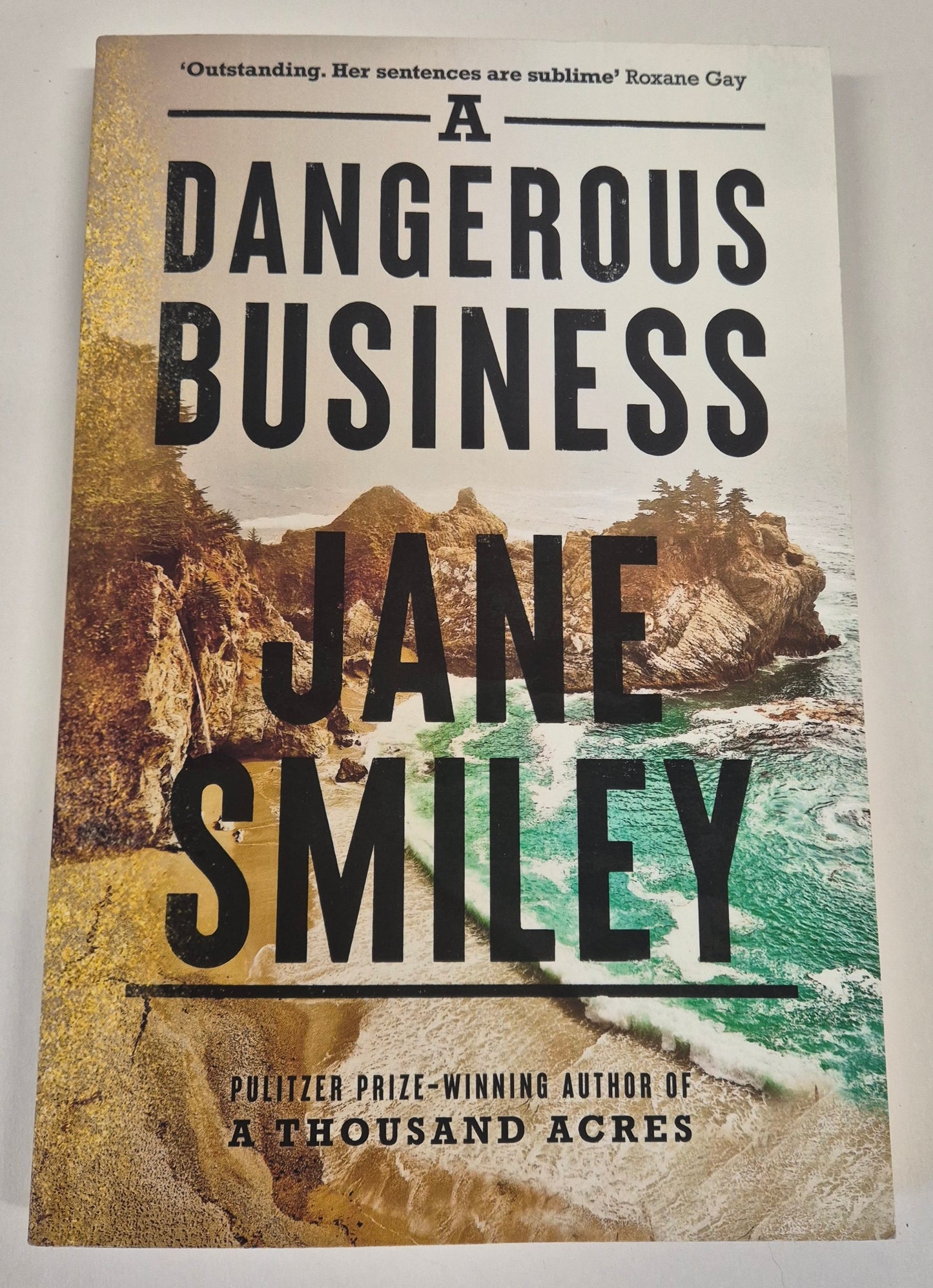 A Dangerous Business by Jane Smiley