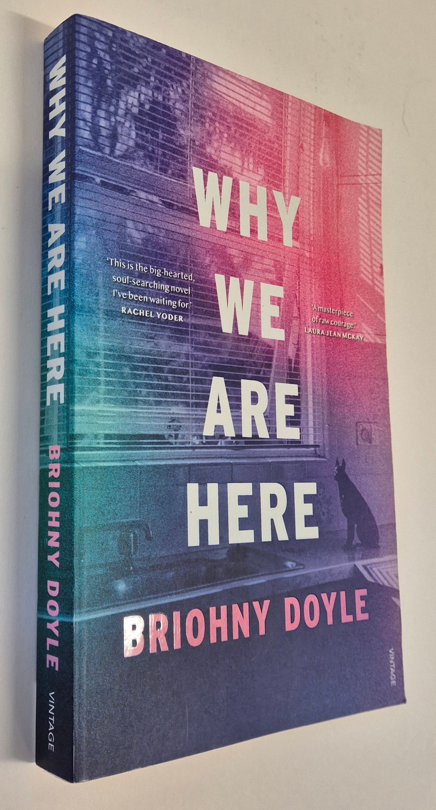 Why We Are Here by Briohny Doyle