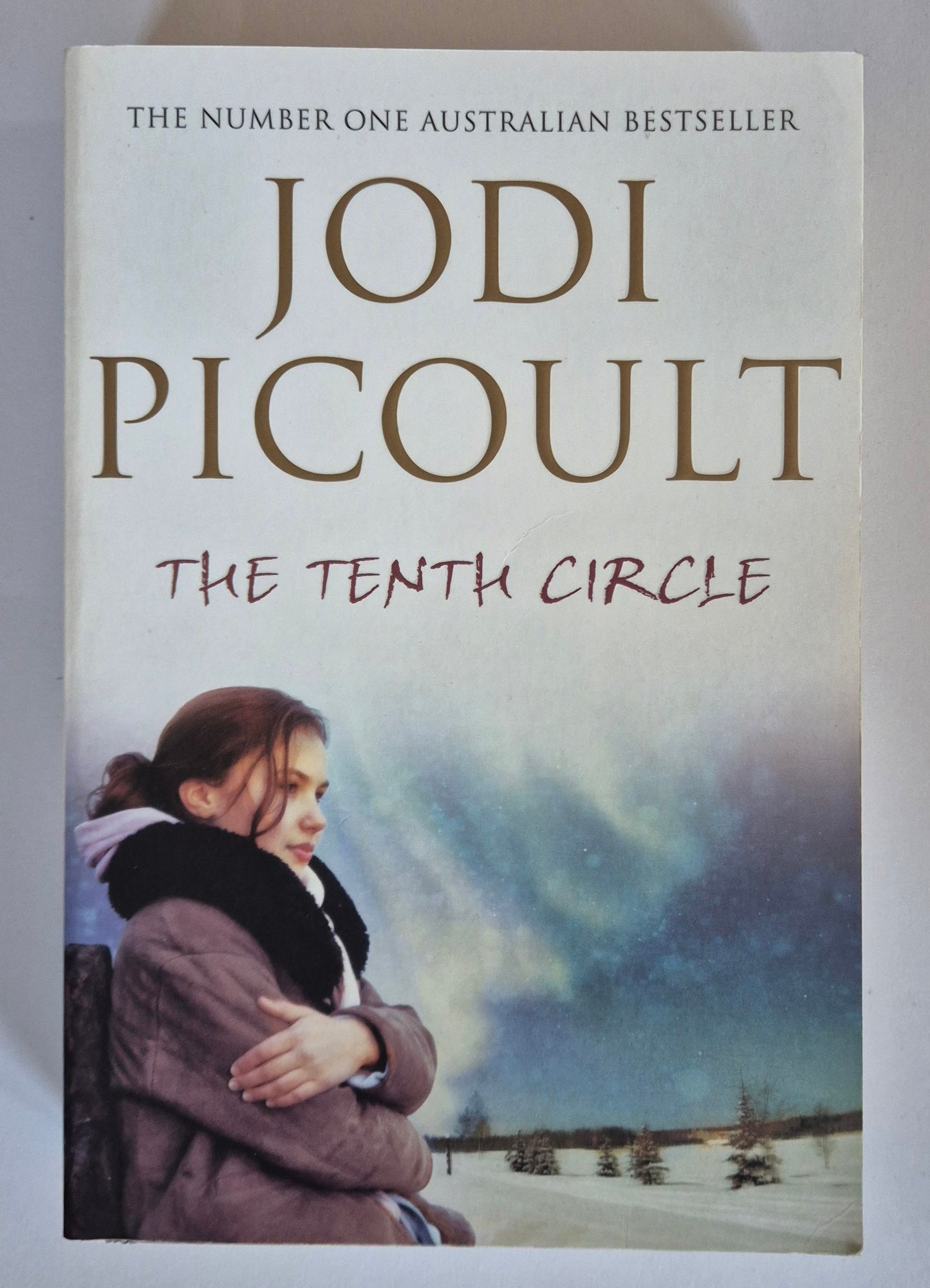 The Tenth Circle by Jodi Picoult