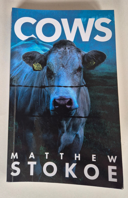 Cows by Matthew Stokoe