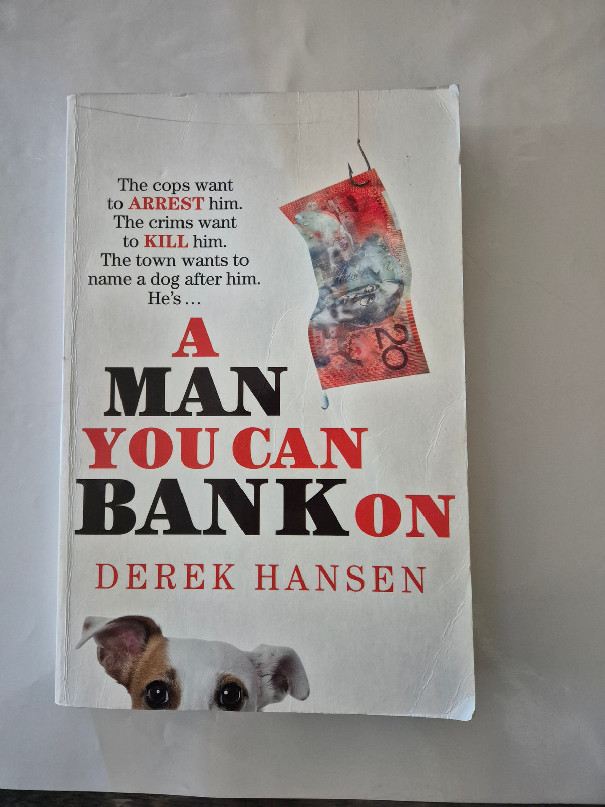 A Man You Can Bank On by Derek Hansen