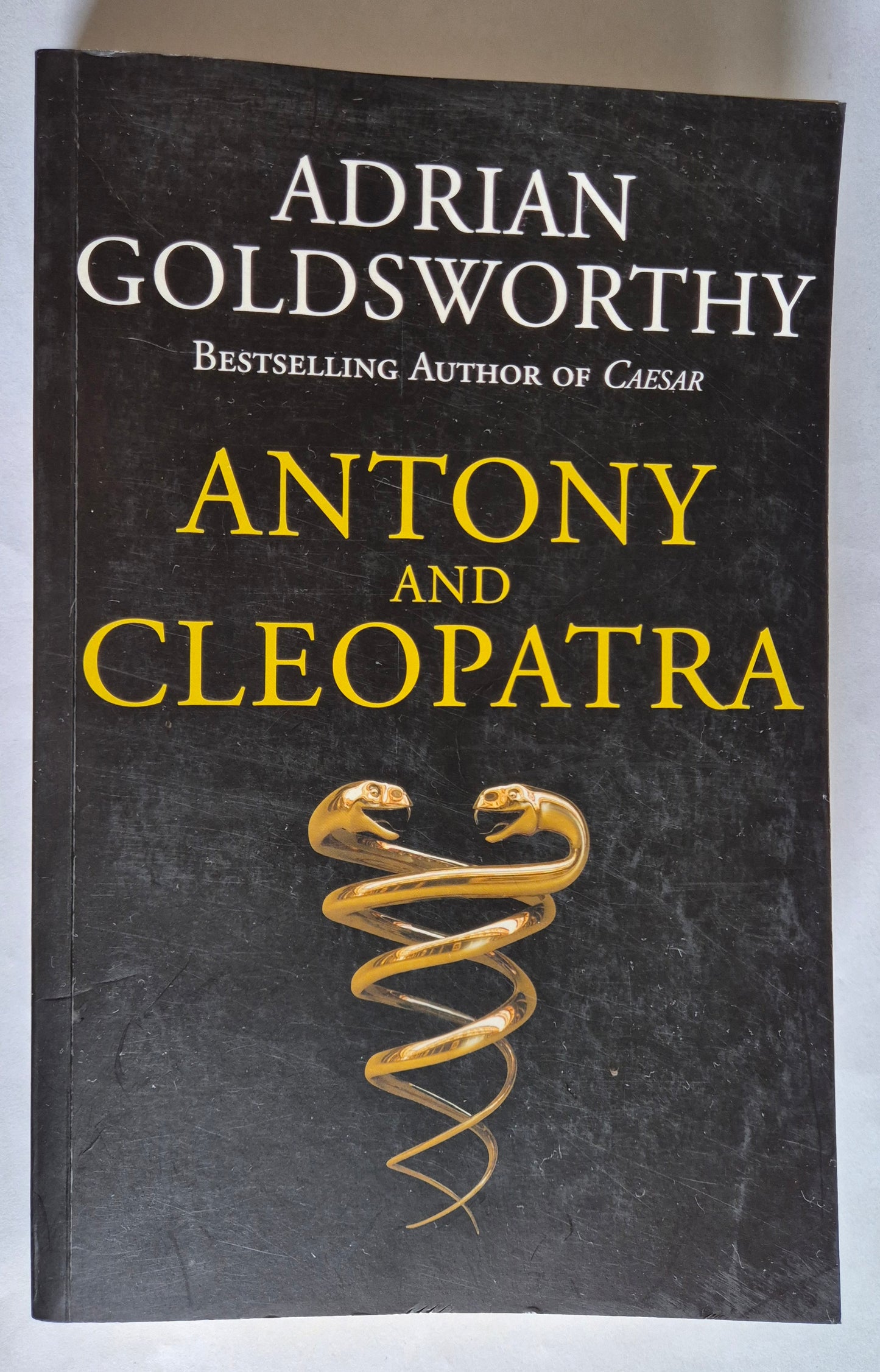 Antony and Cleopatra by Adrian Goldsworthy