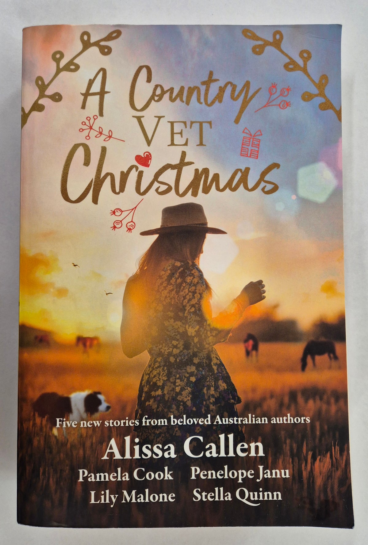 A Country Vet Christmas by Alissa Callen