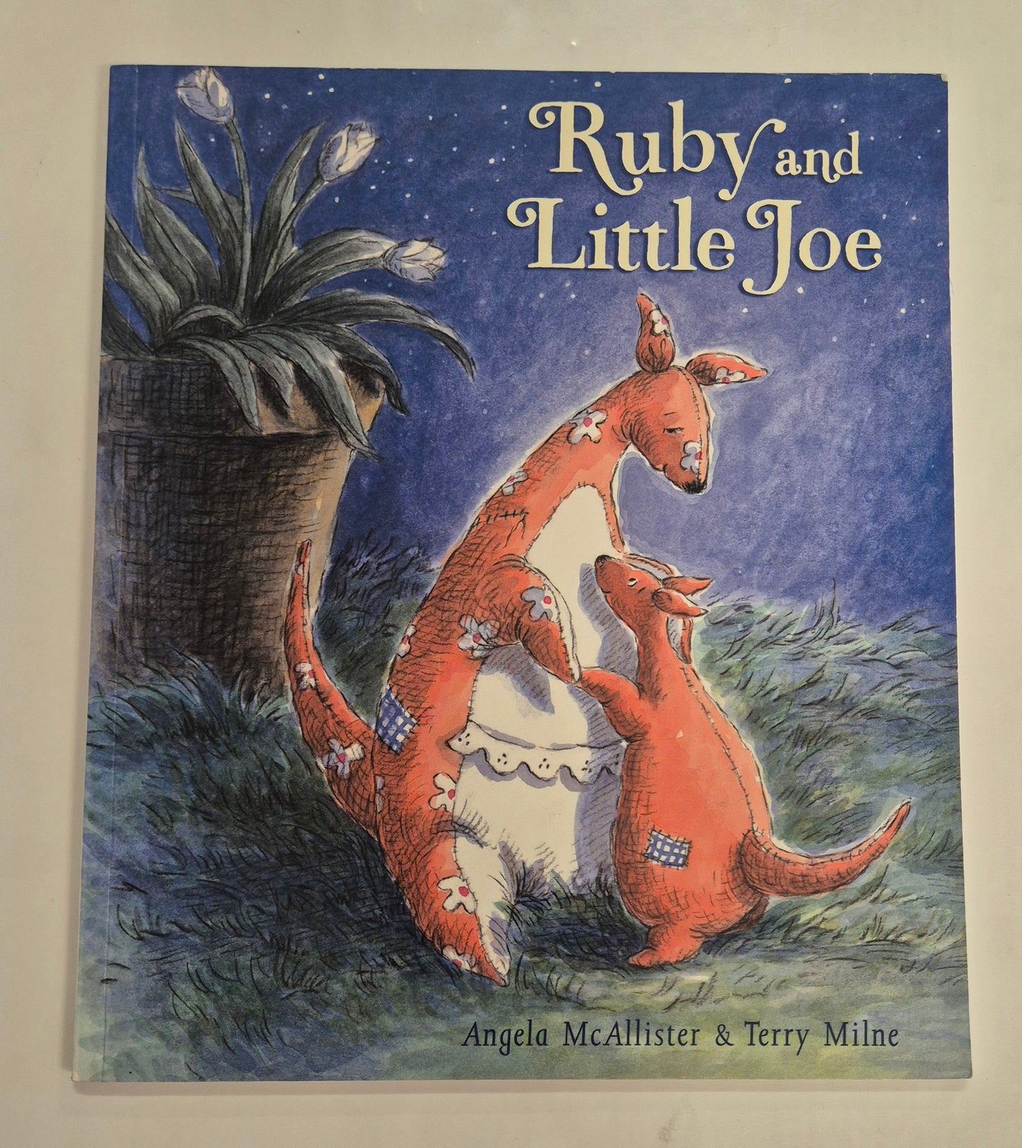 Ruby and Little Joe by Angela McAllister
