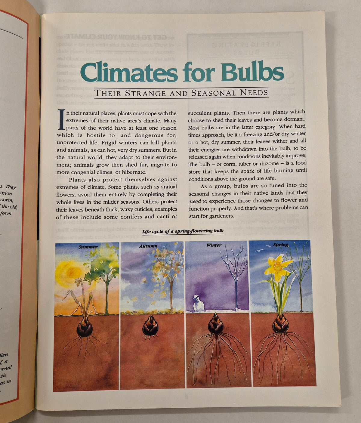 The Australian Women's Weekly Garden Guides: Bulbs for All Climates