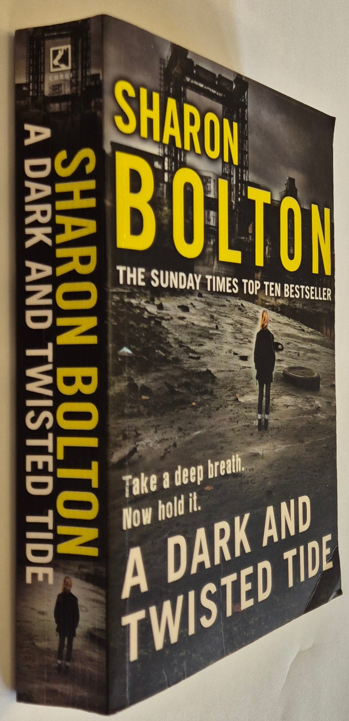A Dark and Twisted Tide (Lacey Flint #4) by Sharon Bolton