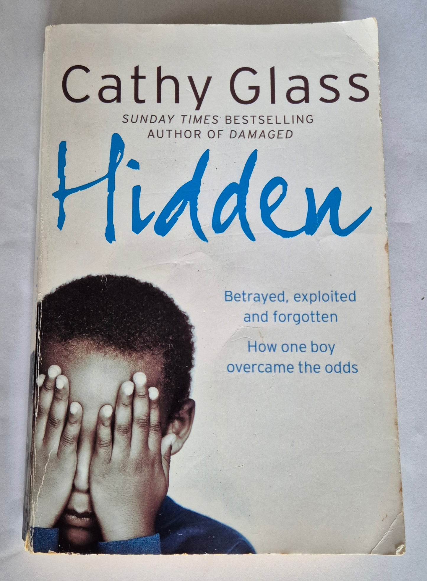 Hidden by Cathy Glass