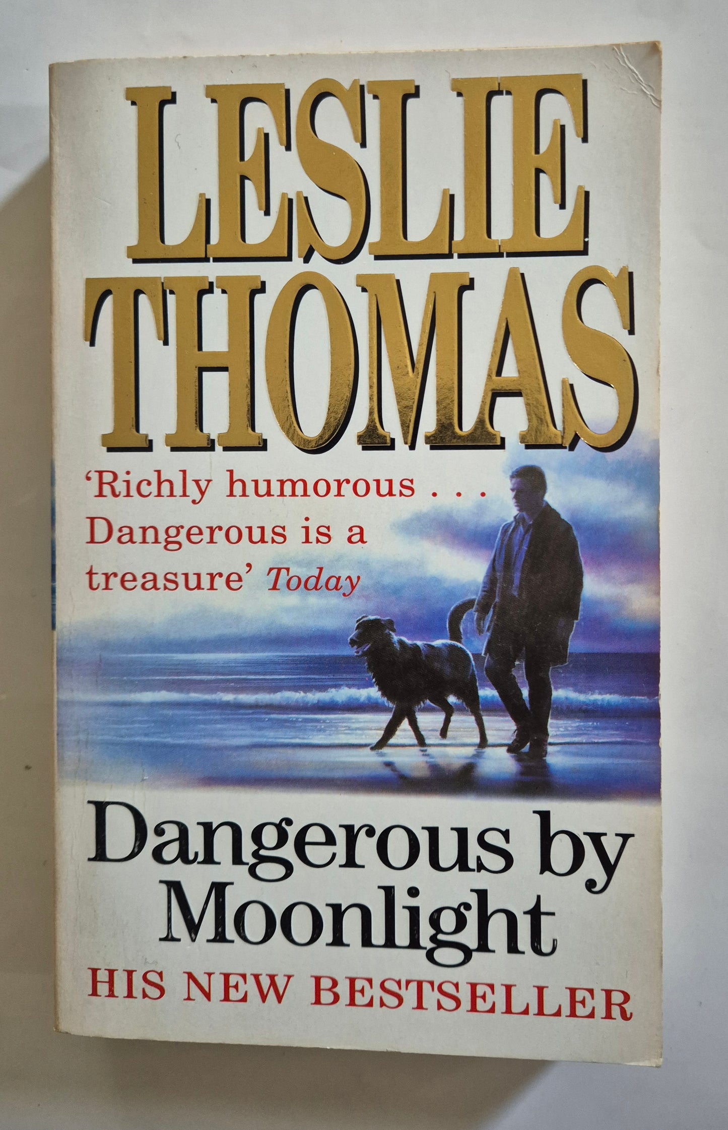 Dangerous by Moonlight (Dangerous Davies #3) by Leslie Thomas