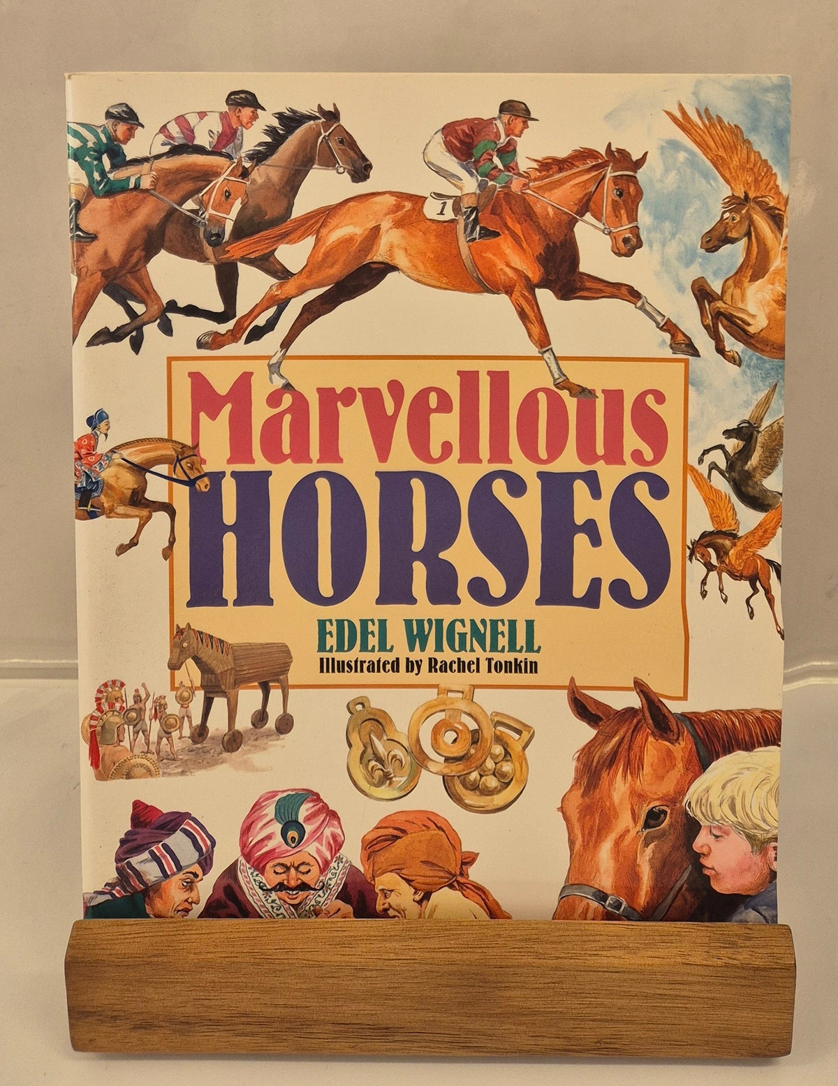 Marvellous Horses by Edel Wignell