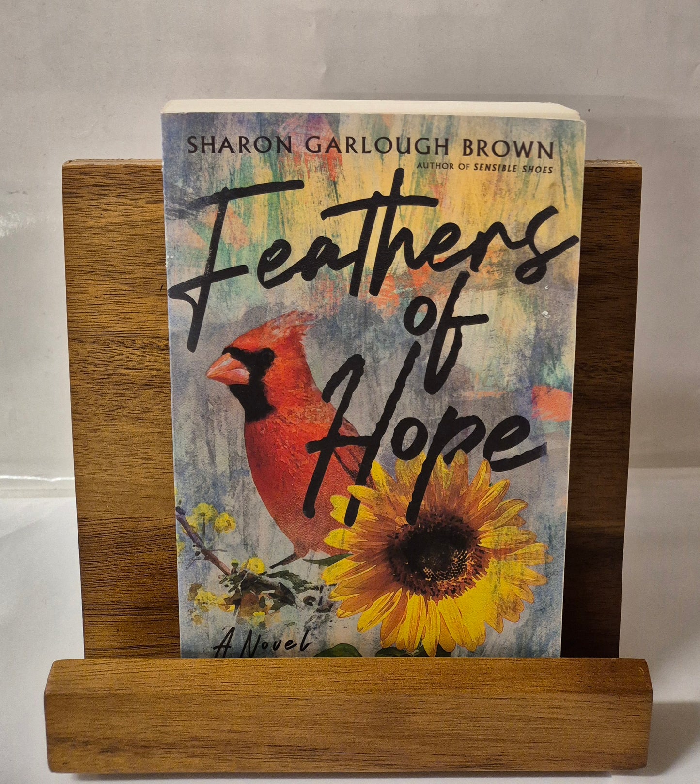 Feathers of Hope (Shades of Light #3) by Sharon Garlough Brown
