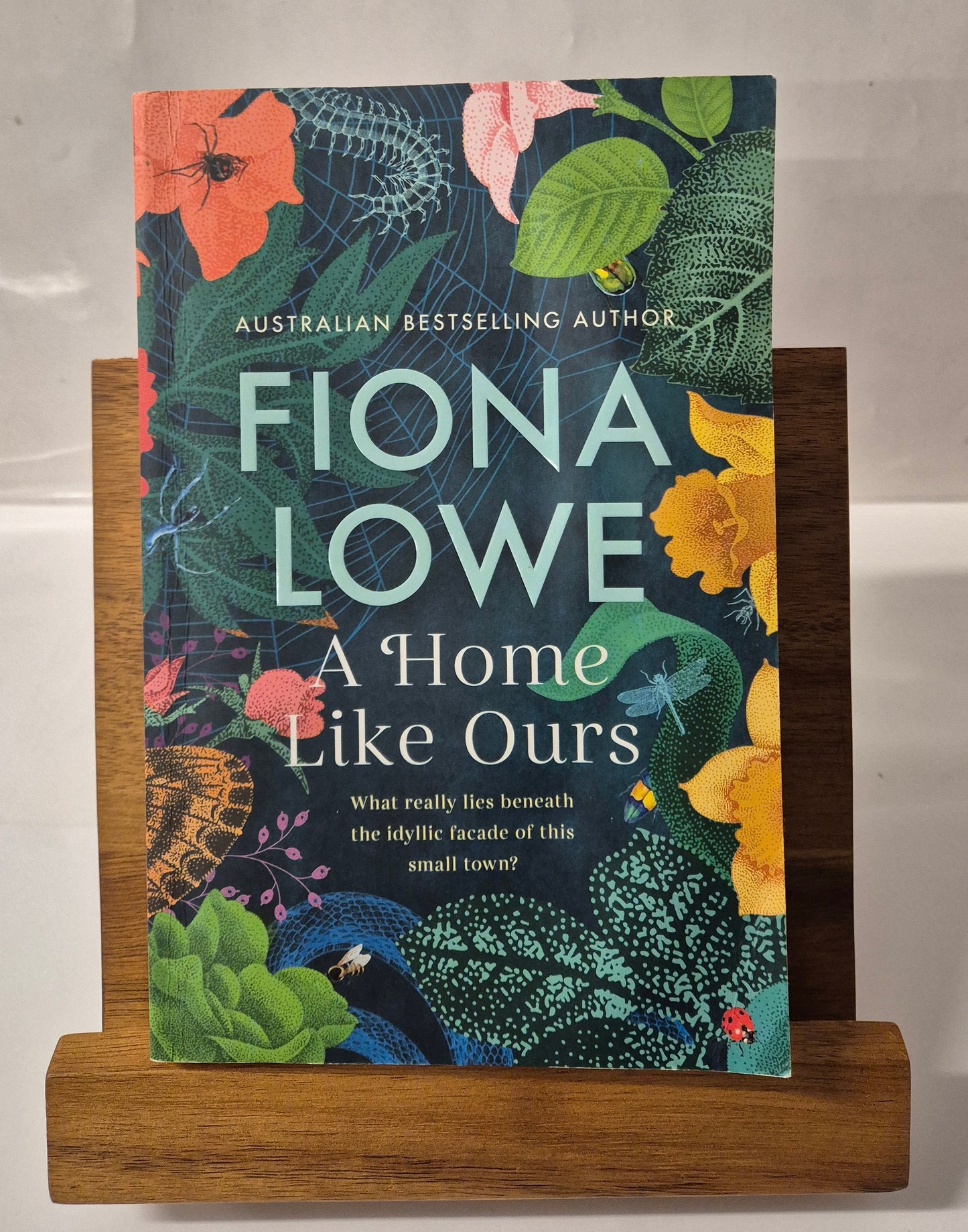A Home Like Ours by Fiona Lowe