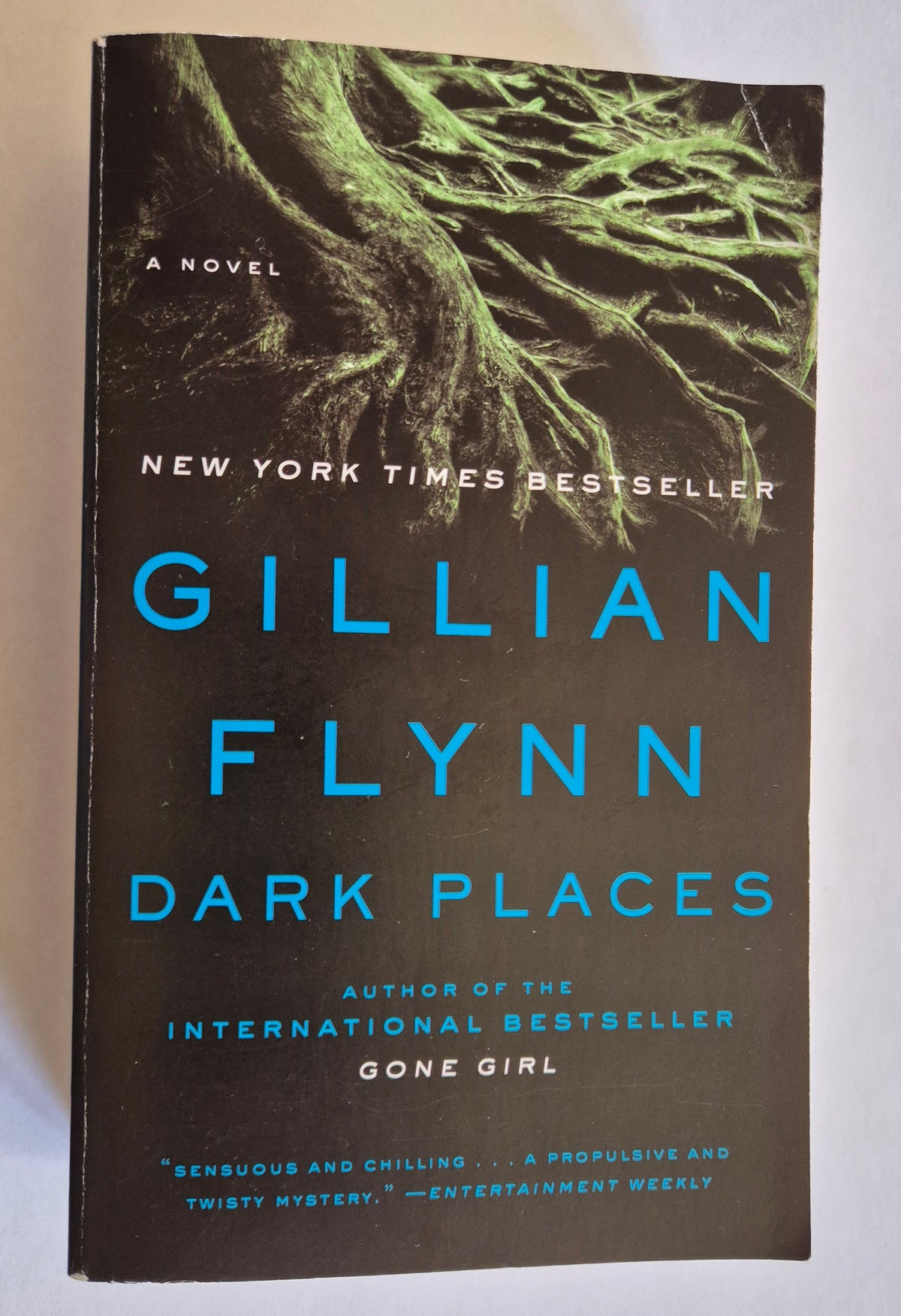 Dark Places by Gillian Flynn