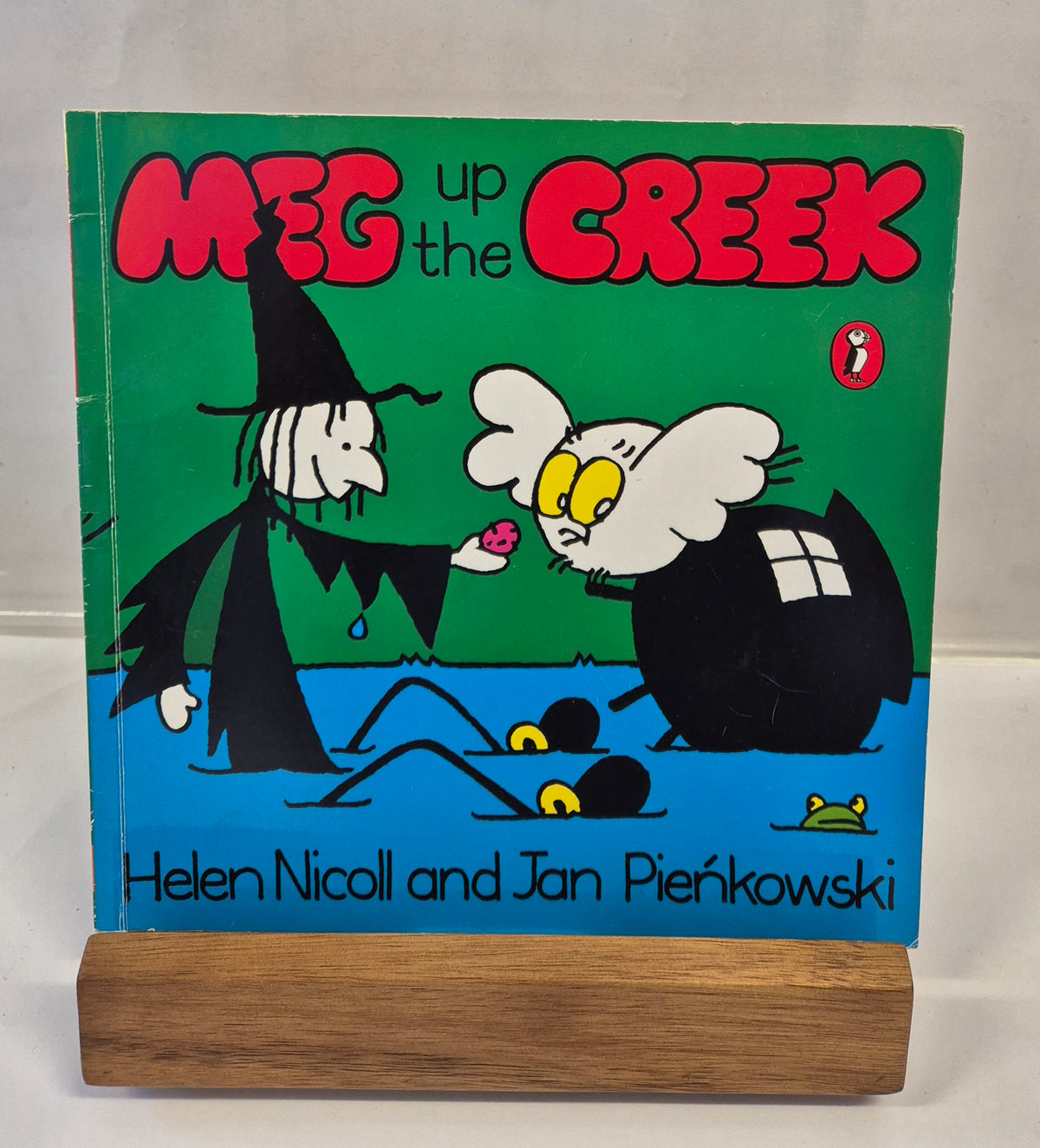 Meg up the Creek by Helen Nicoll