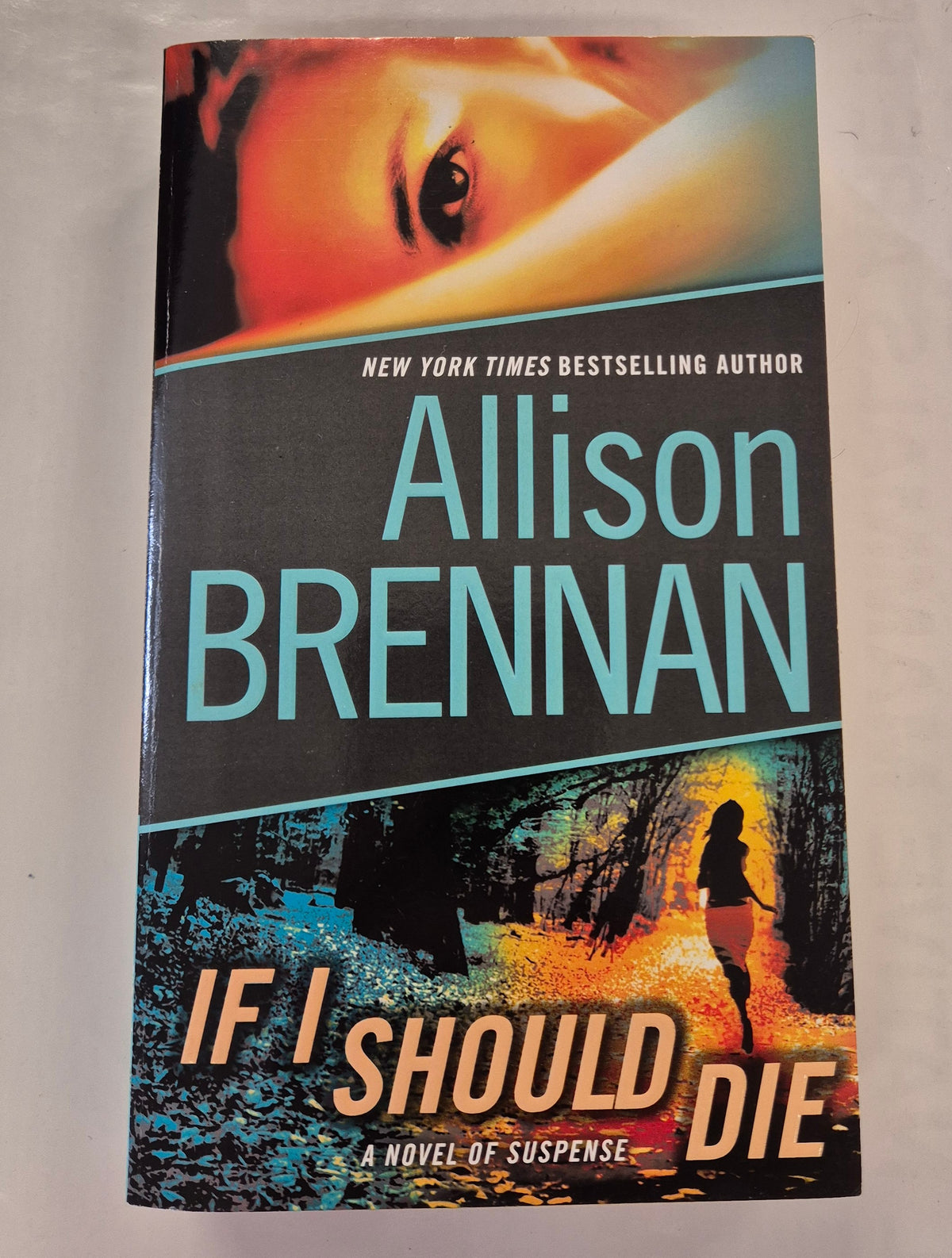If I Should Die (Lucy Kincaid #3) by Allison Brennan