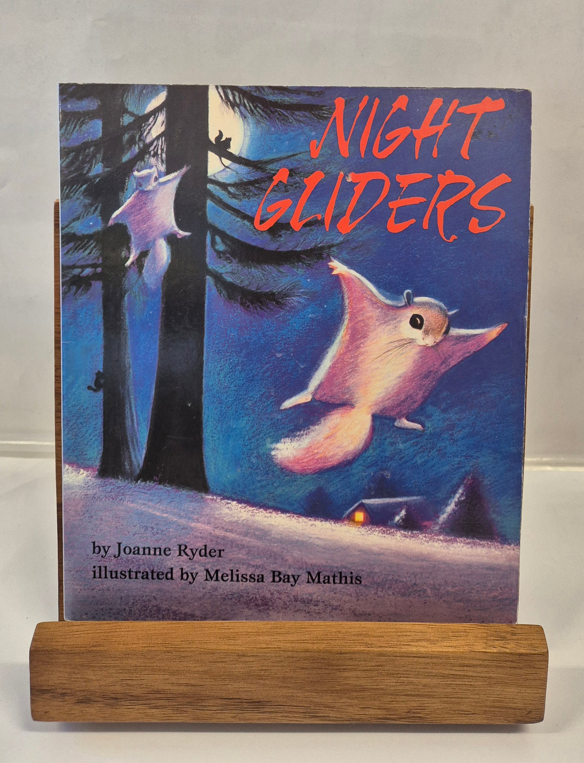 Night Gliders by Joanne Ryder