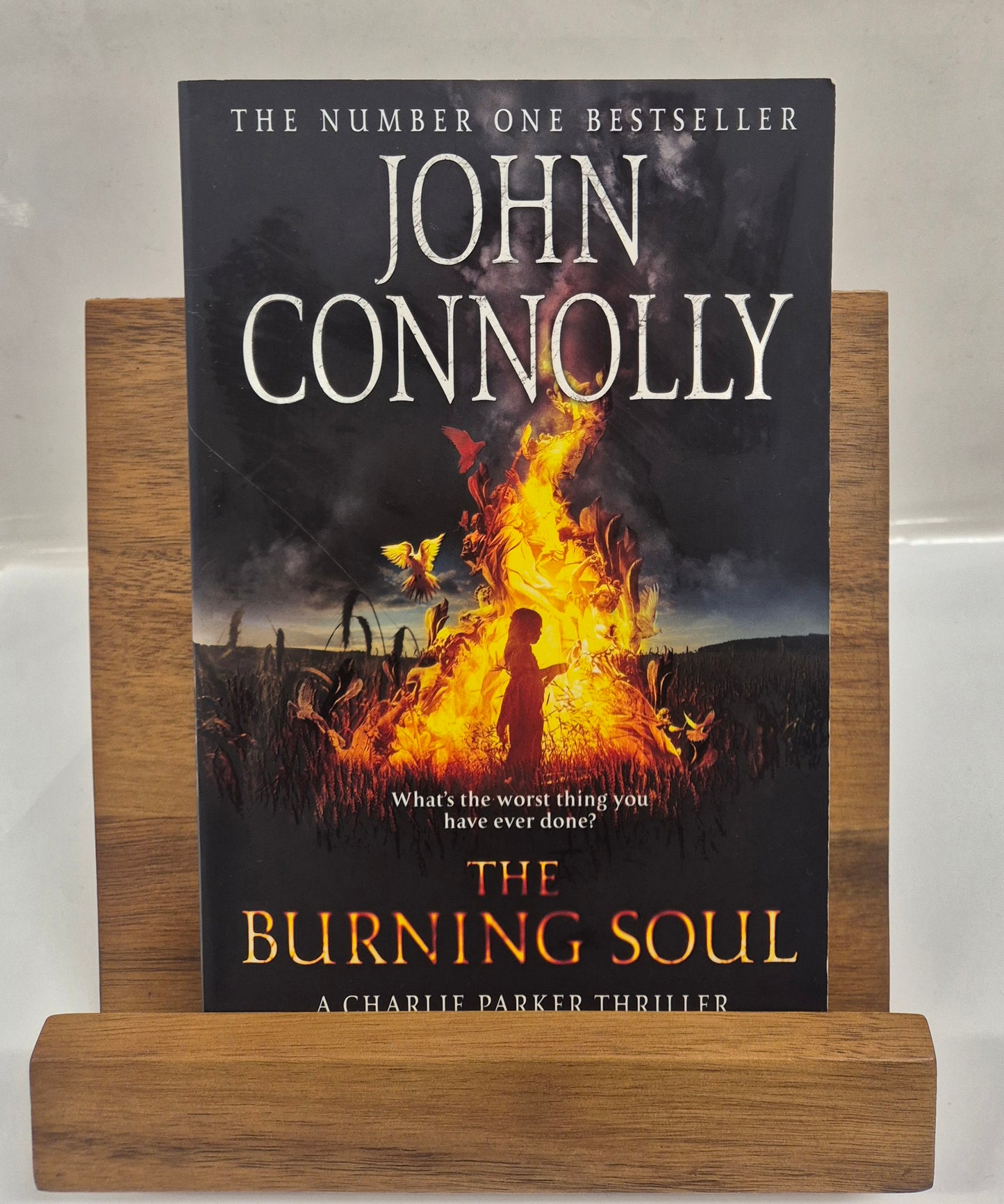 The Burning Soul (Charlie Parker #10) by John Connolly