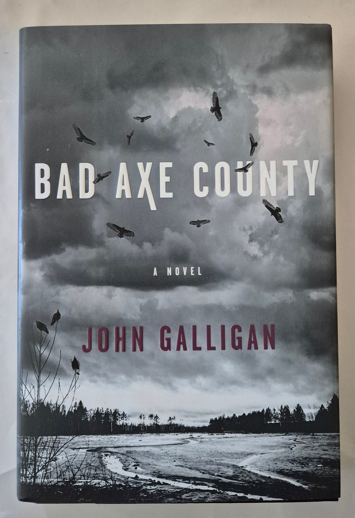 Bad Axe County (Bad Axe County #1) by John Galligan