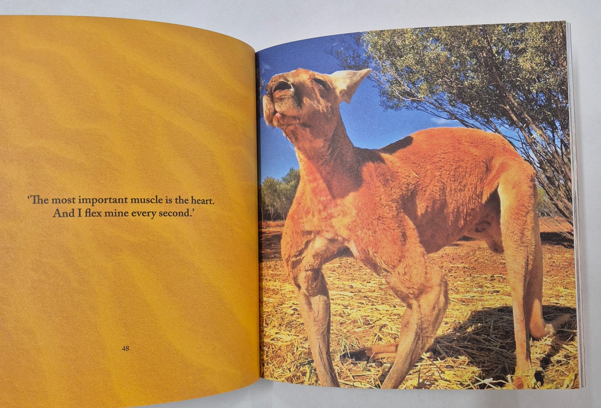 Don't Call Me Skippy Life Lessons From Tough Kangaroos by Dominic Knight