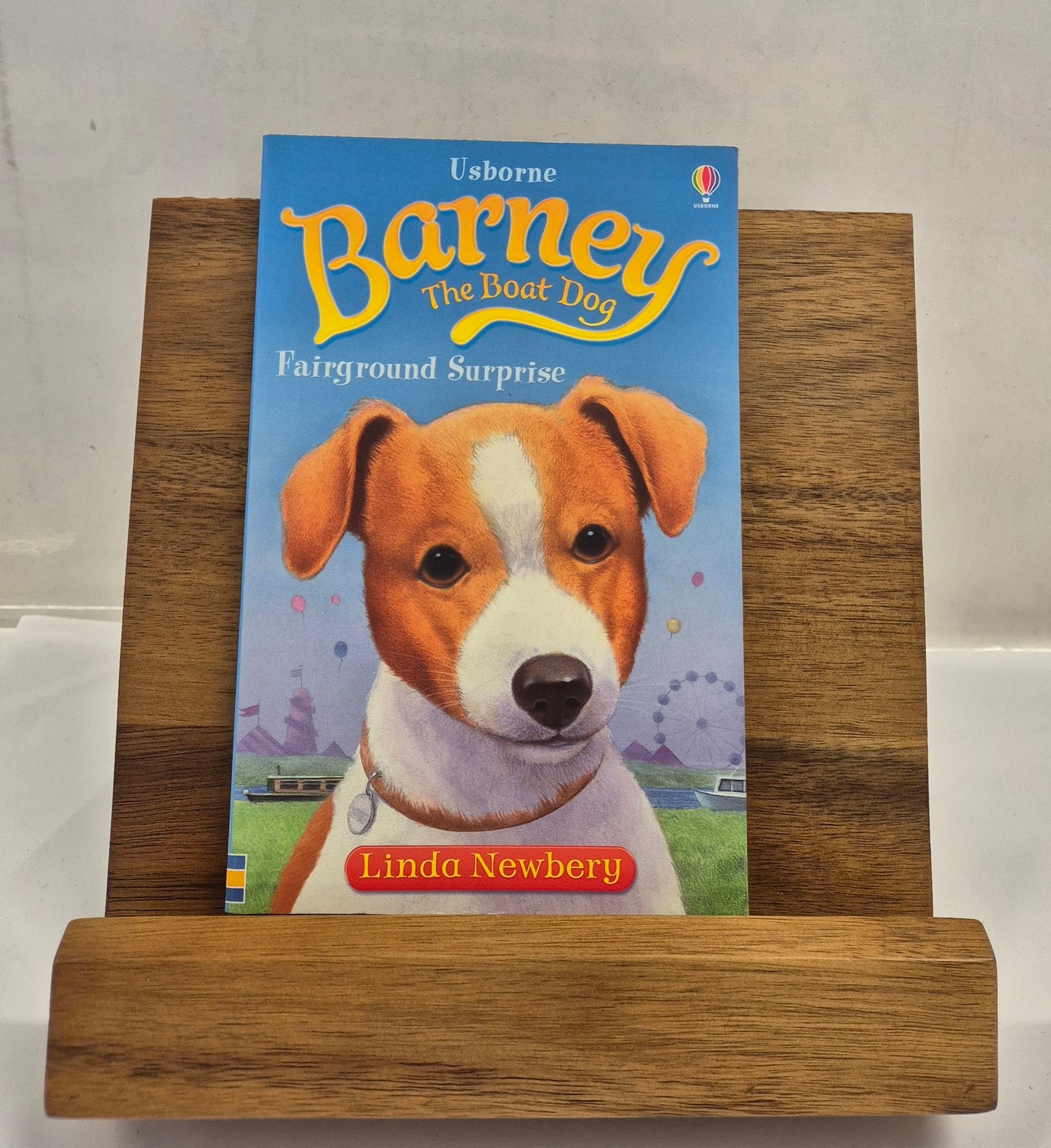 Fairground Surprise (Barney The Boat Dog) by Linda Newbery
