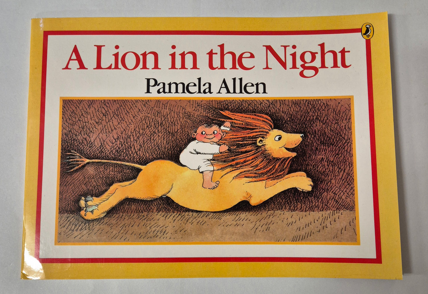 A Lion in the Night by Pamela Allen