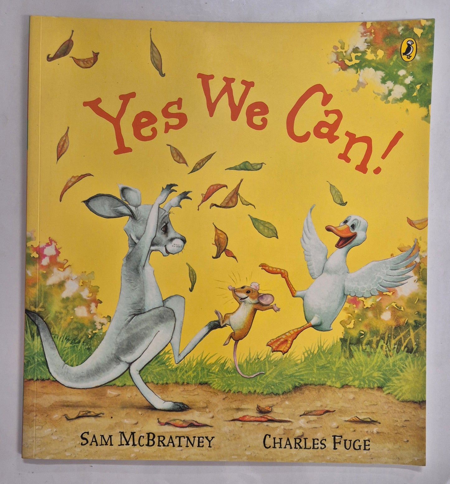 Yes We Can! by Sam McBratney