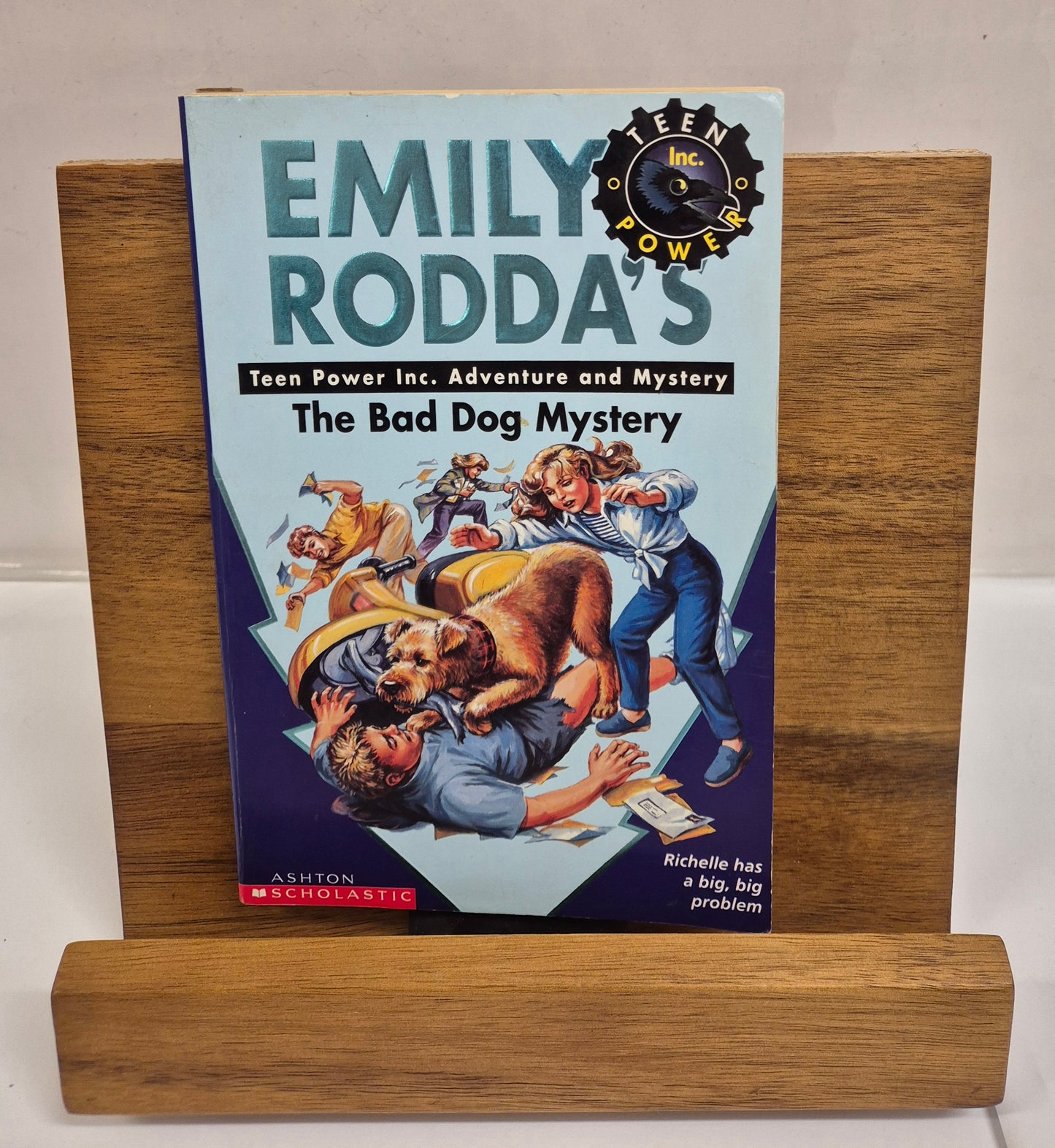 The Bad Dog Mystery (Raven Hill Mysteries #9) by Emily Rodda