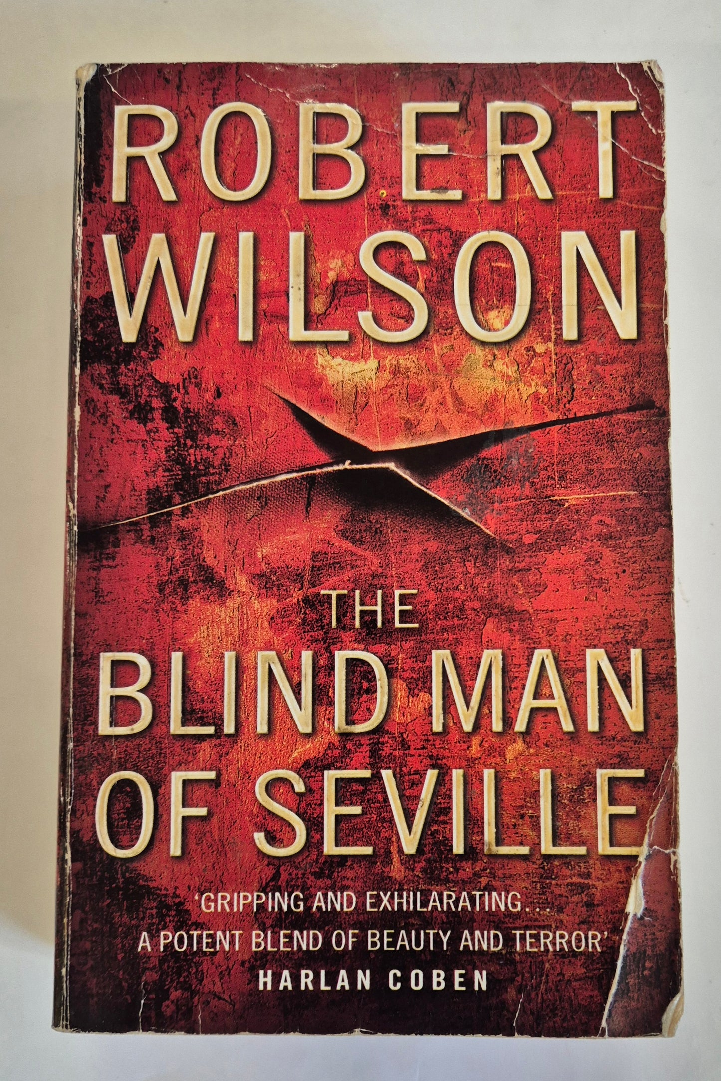 The Blind Man of Seville (Javier Falcon #1) by Robert Wilson