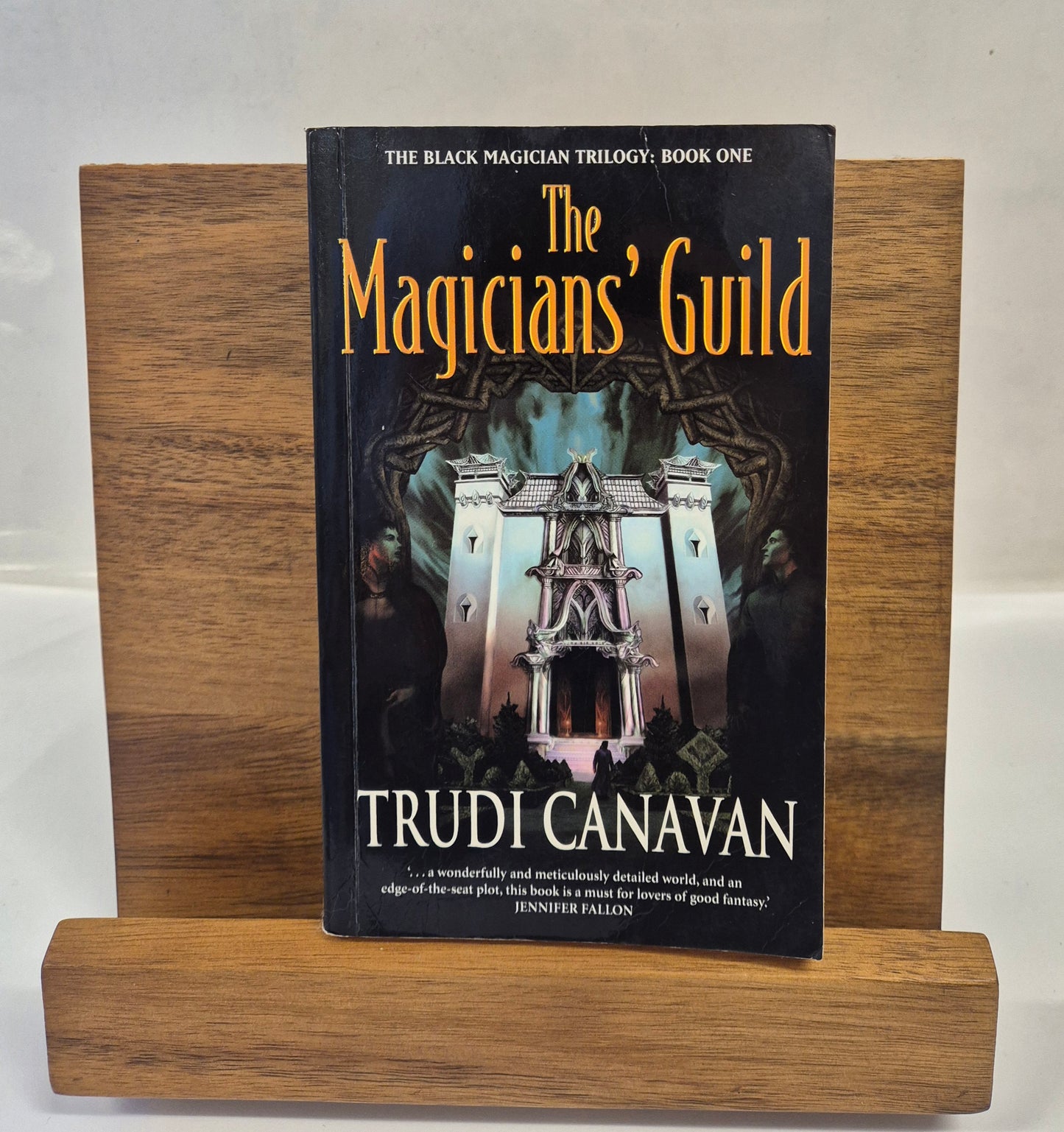 The Magicians' Guild (The Black Magician Trilogy #1) by Trudi Canavan