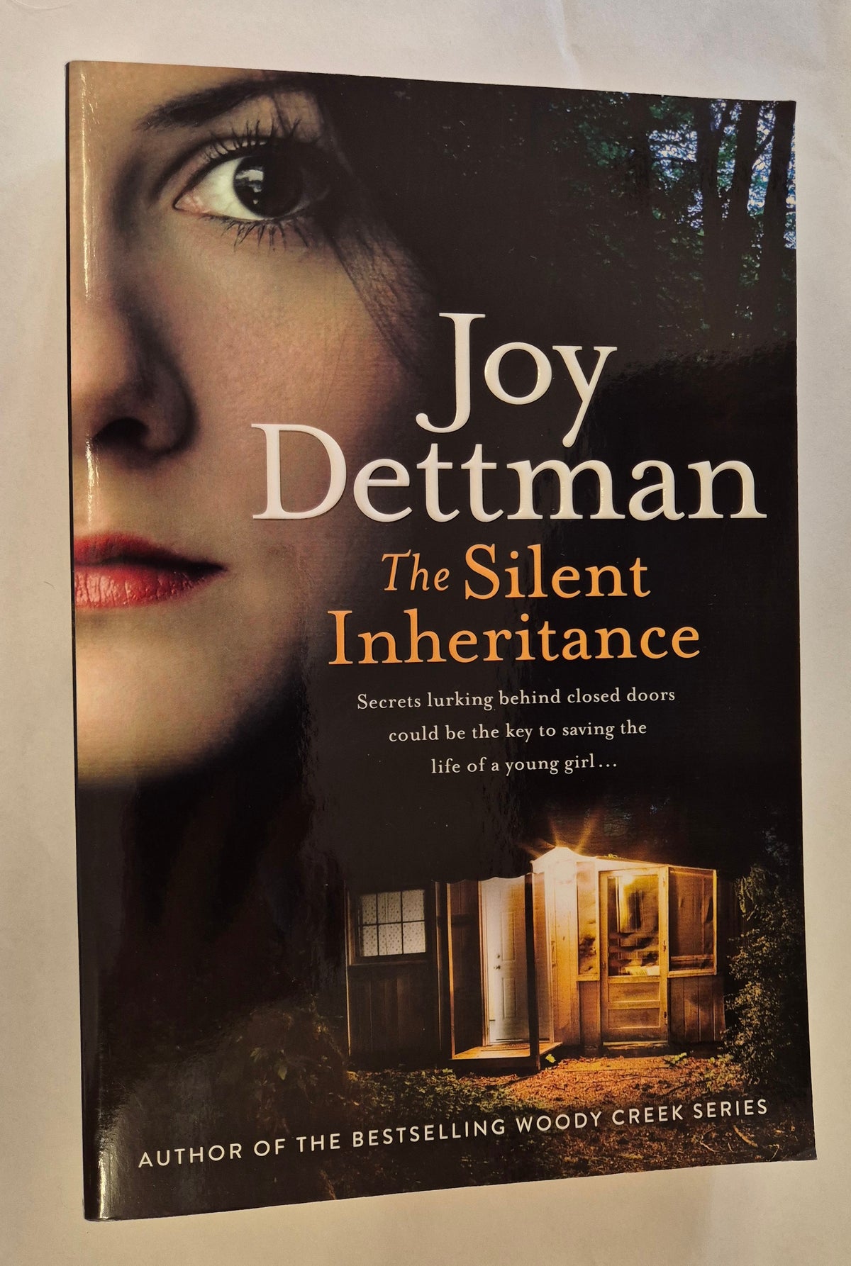 The Silent Inheritance by Joy Dettman