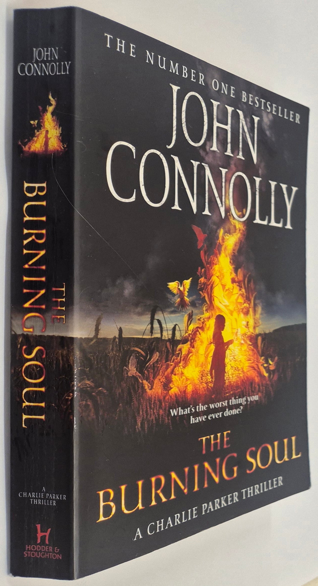 The Burning Soul (Charlie Parker #10) by John Connolly
