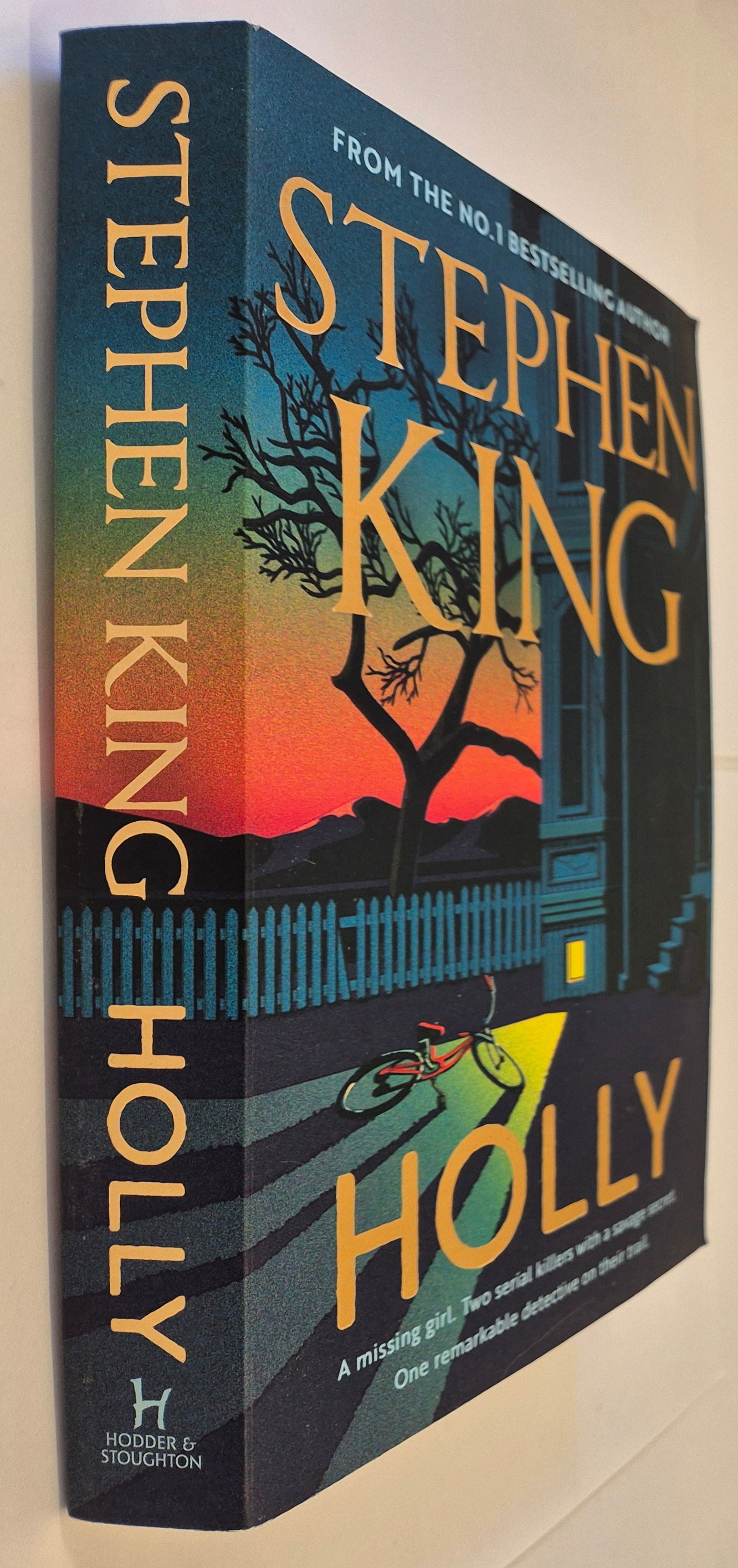 Holly (Holly Gibney #3) by Stephen King