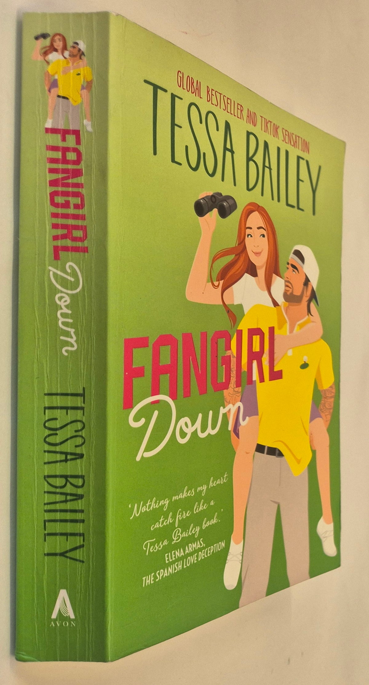 Fangirl Down (Big Shots #1) by Tessa Bailey