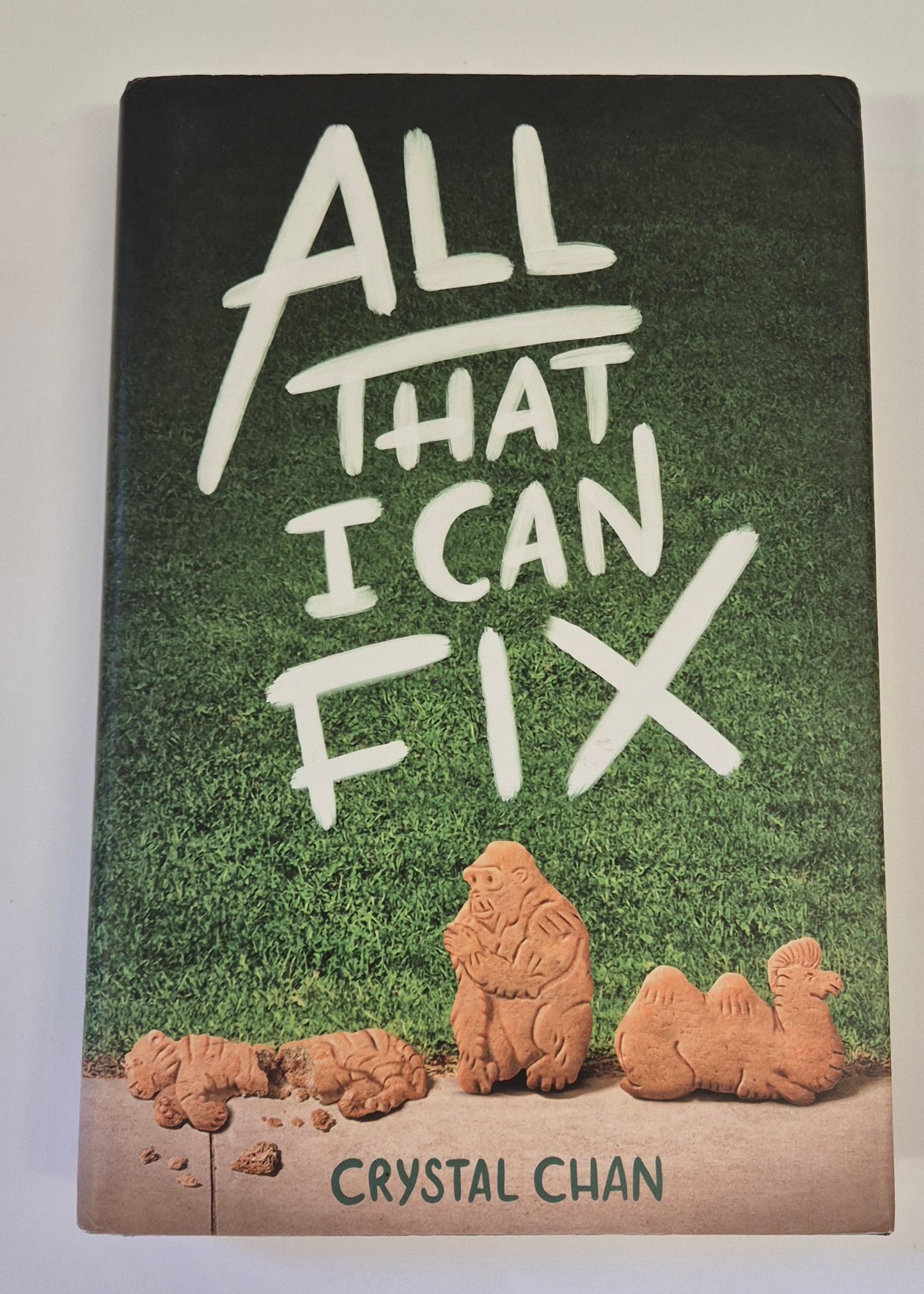 All That I Can Fix by Crystal Chan