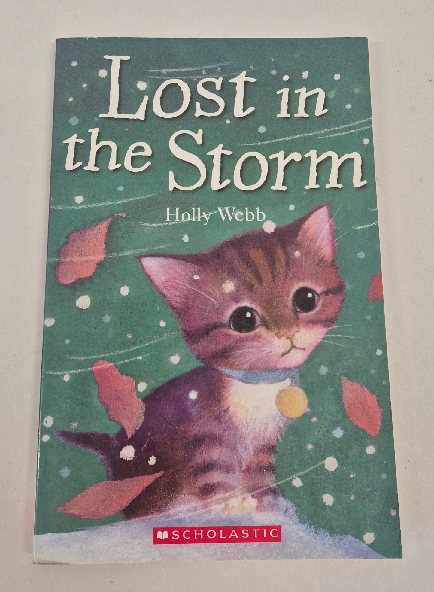 Lost in the Storm (Animal Stories #10) by Holly Webb