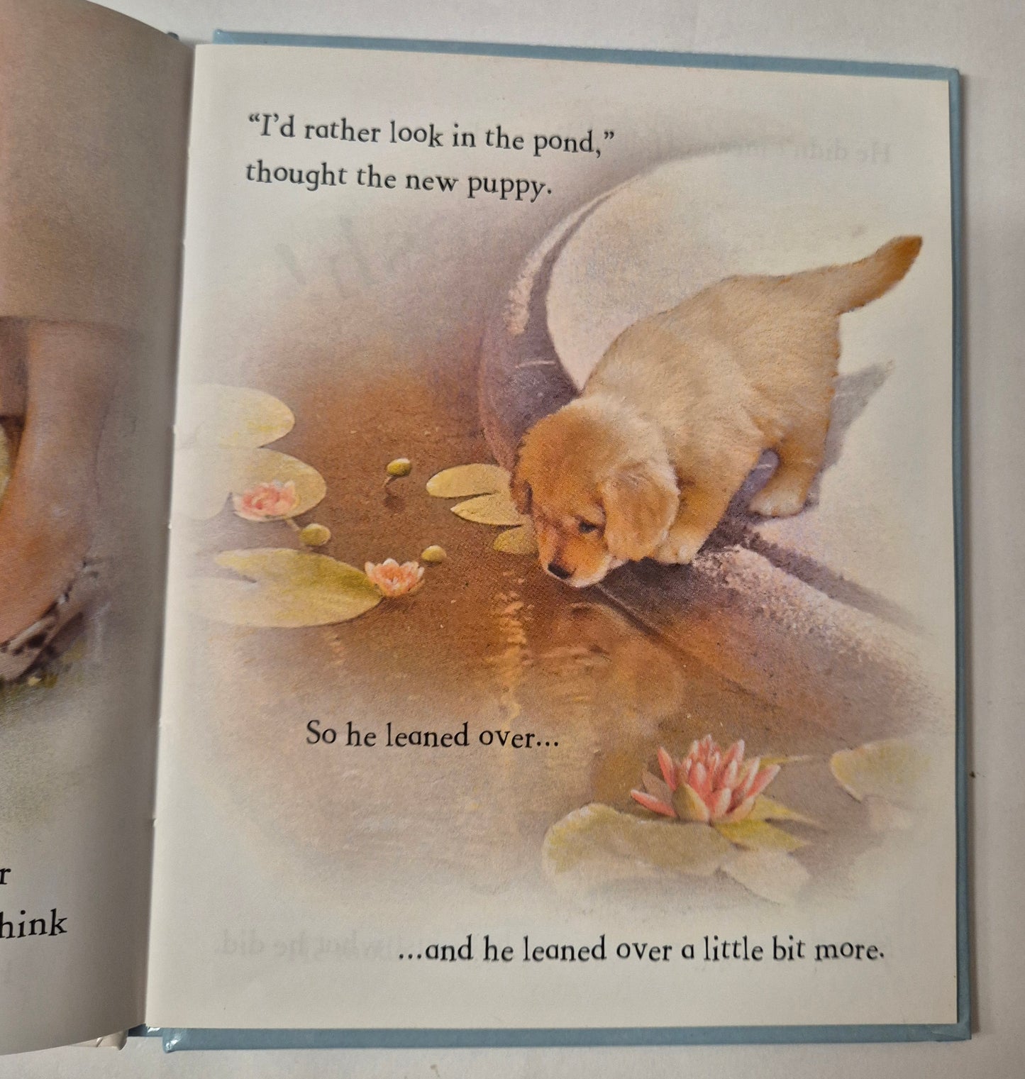 Muddypaws by Moire Butterfield
