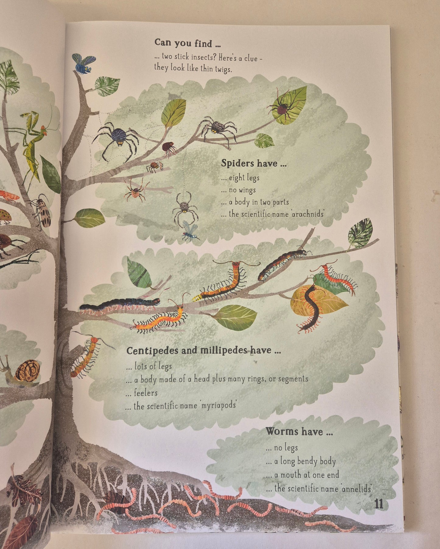 The Big Book of Bugs by Yuval Zommer