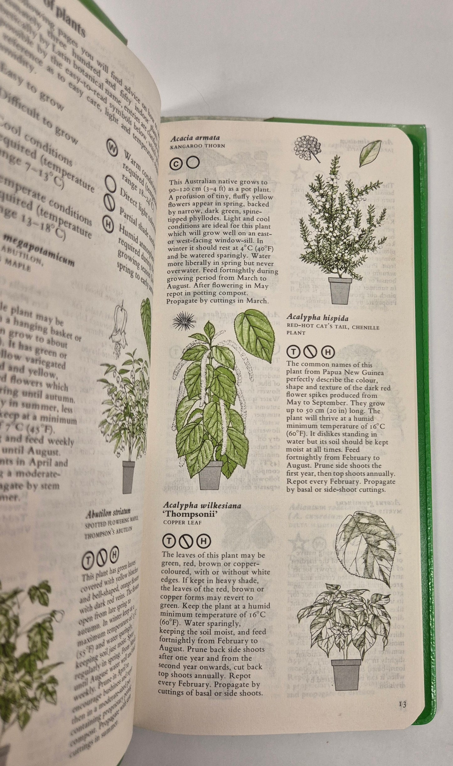 The Mitchell Beazley Pocket Guide to Indoor Plants by George Seddon