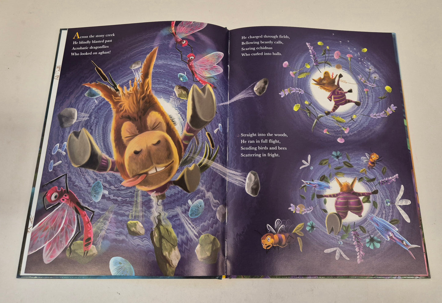 Willow The Wonderer - Honey Time (Book II) (Signed) by Reeta Dhar