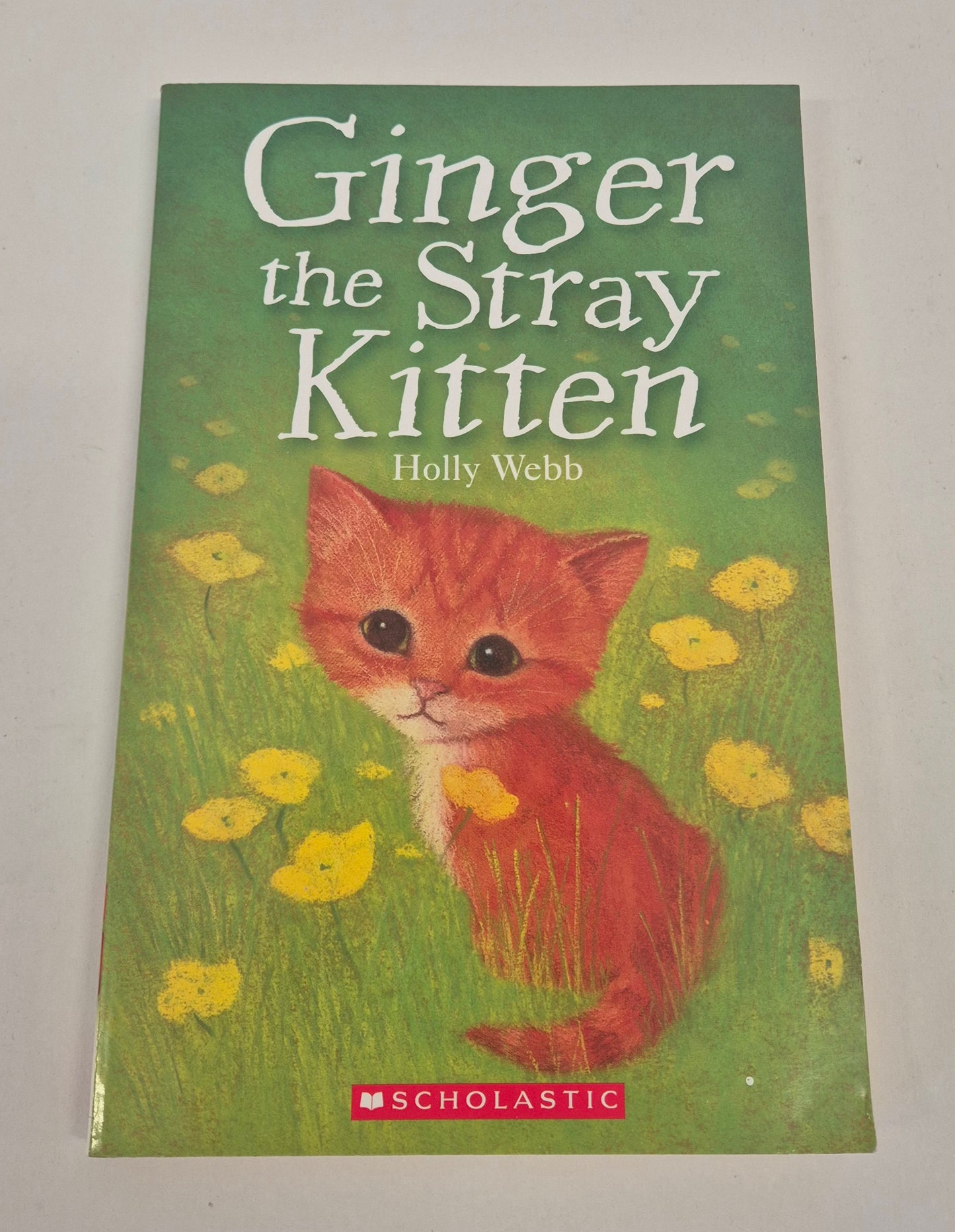Ginger the Stray Kitten (Animal Stories #14) by Holly Webb