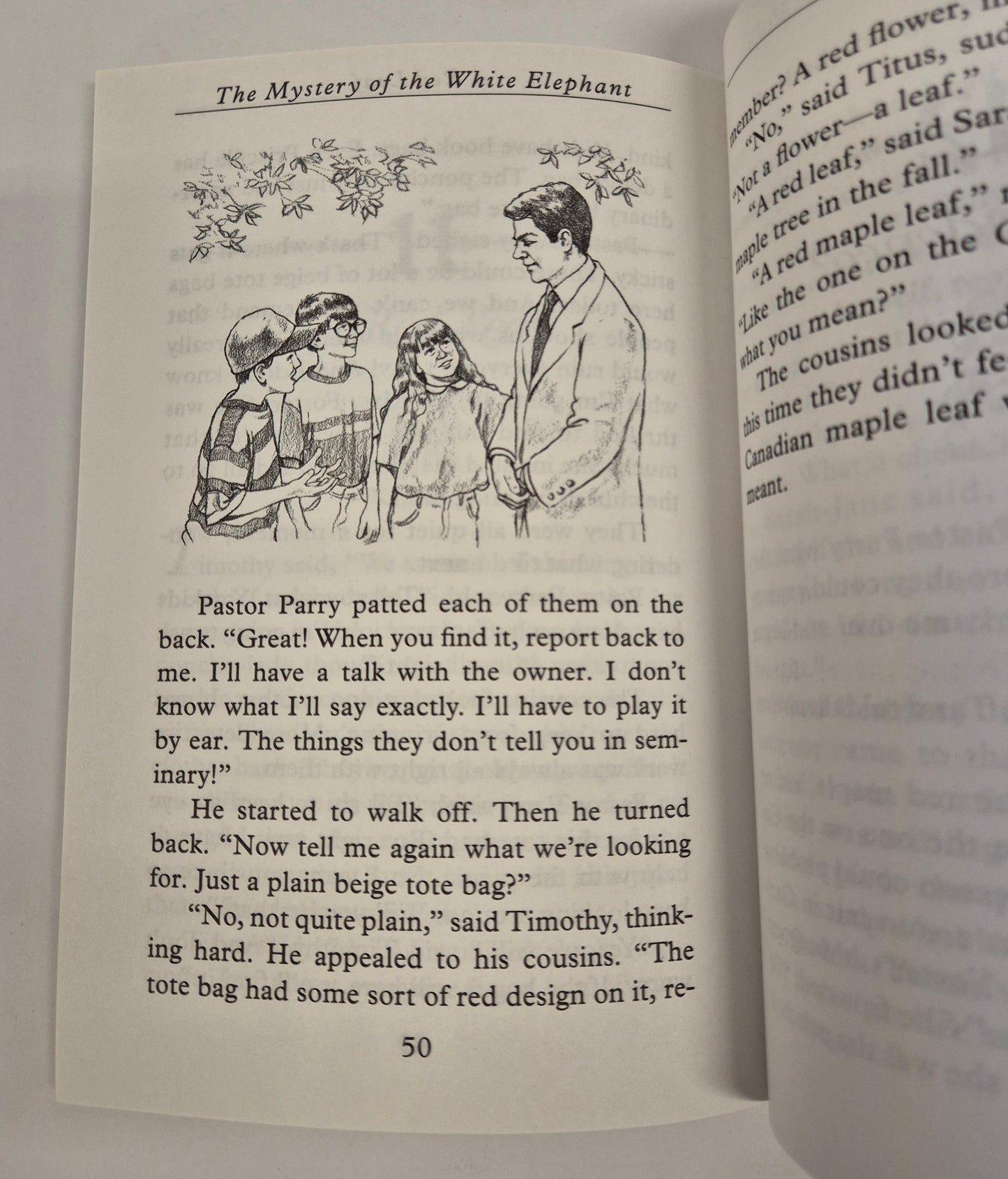 The Mystery of the White Elephant (Three Cousins Detective Club #1) by Elspeth Campbell Murphy