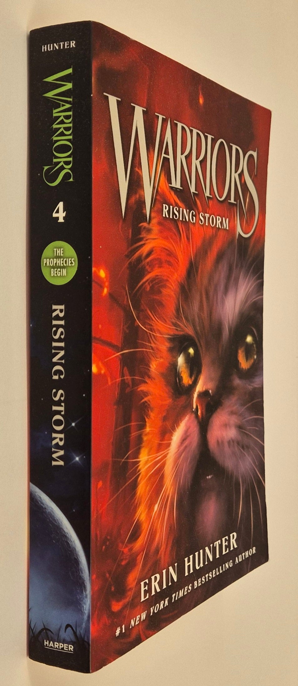 Rising Storm (Warriors: The Prophecy Begins #4) by Erin Hunter