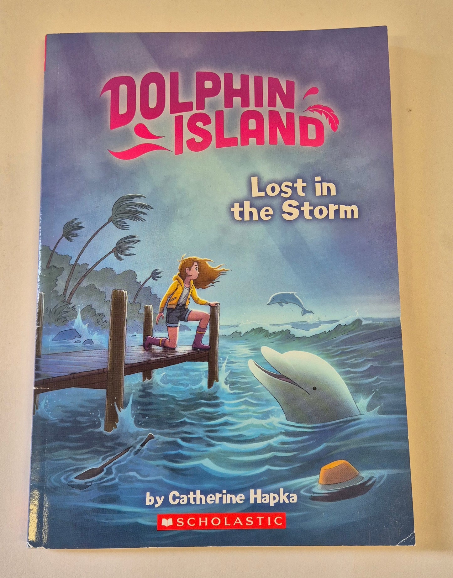 Lost in the Storm (Dolphin Island #2) by Catherine Hapka