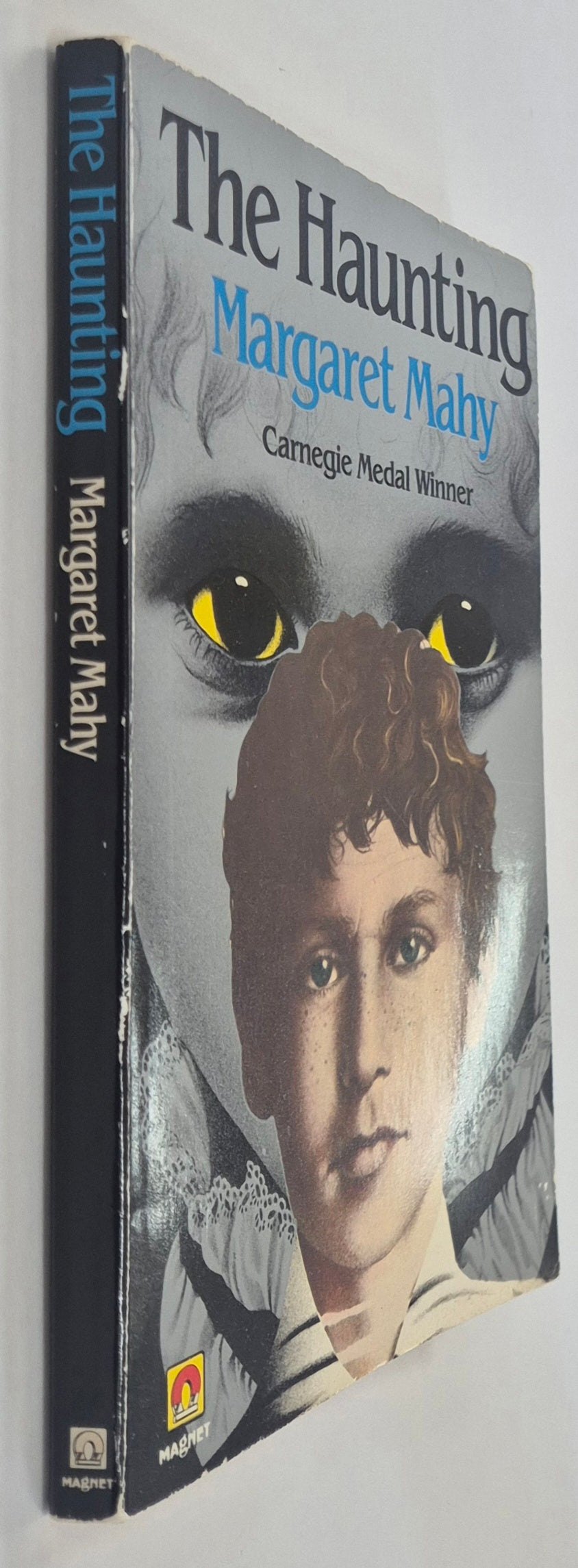 The Haunting by Margaret Mahy