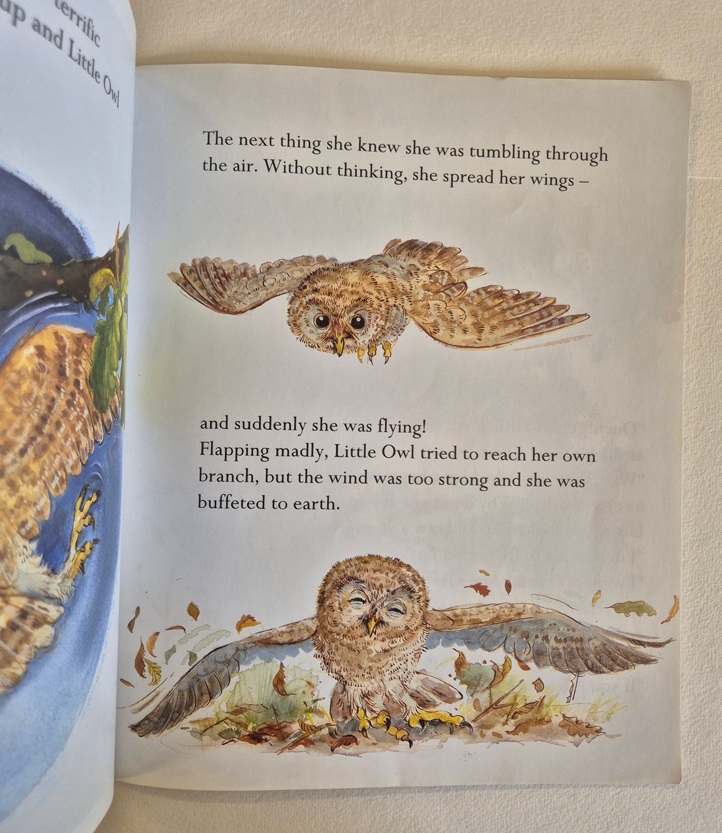 The Frightened Little Owl by Mark Ezra
