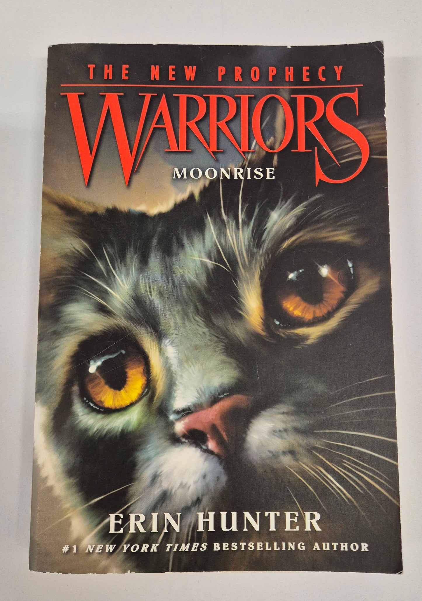 Moonrise (Warriors: The New Prophecy #2) by Erin Hunter