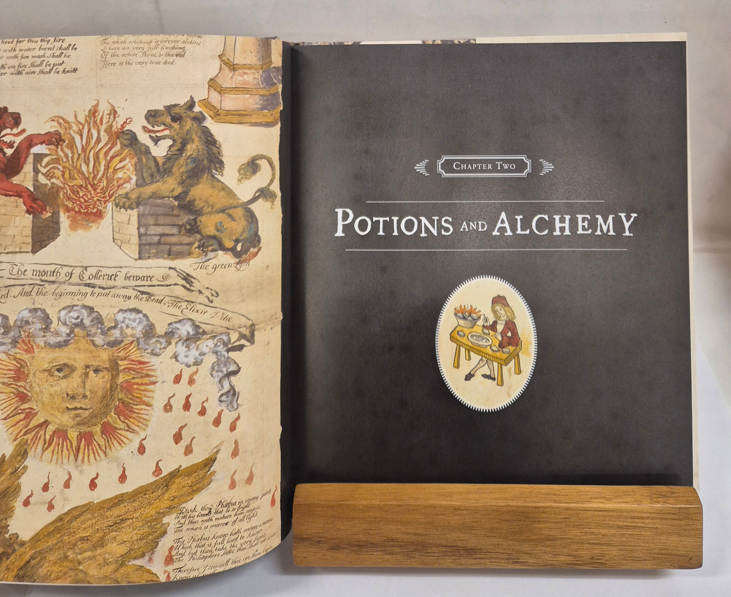 Harry Potter: A History of Magic by Julian Harrison