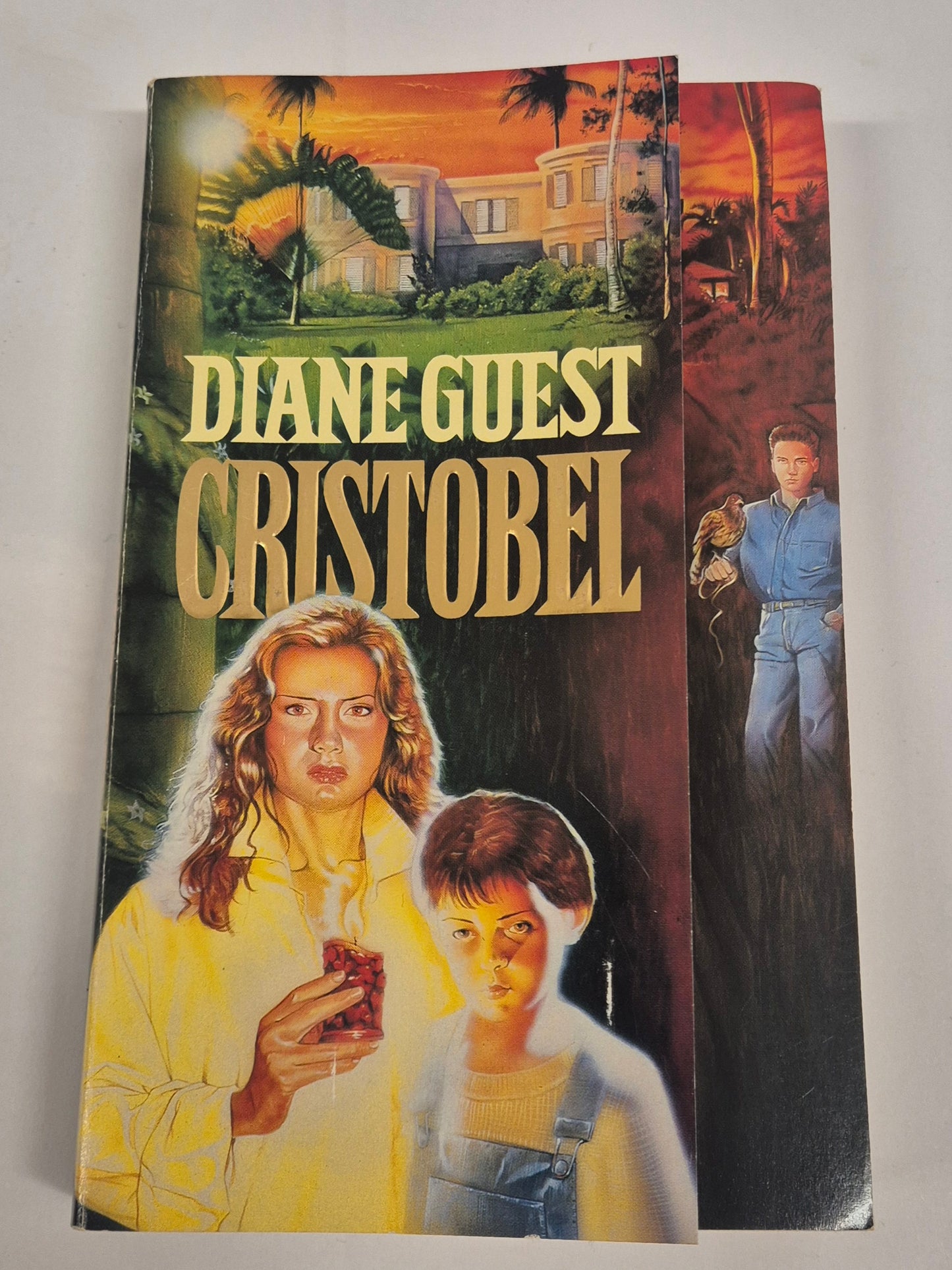 Cristobel by Diane Guest