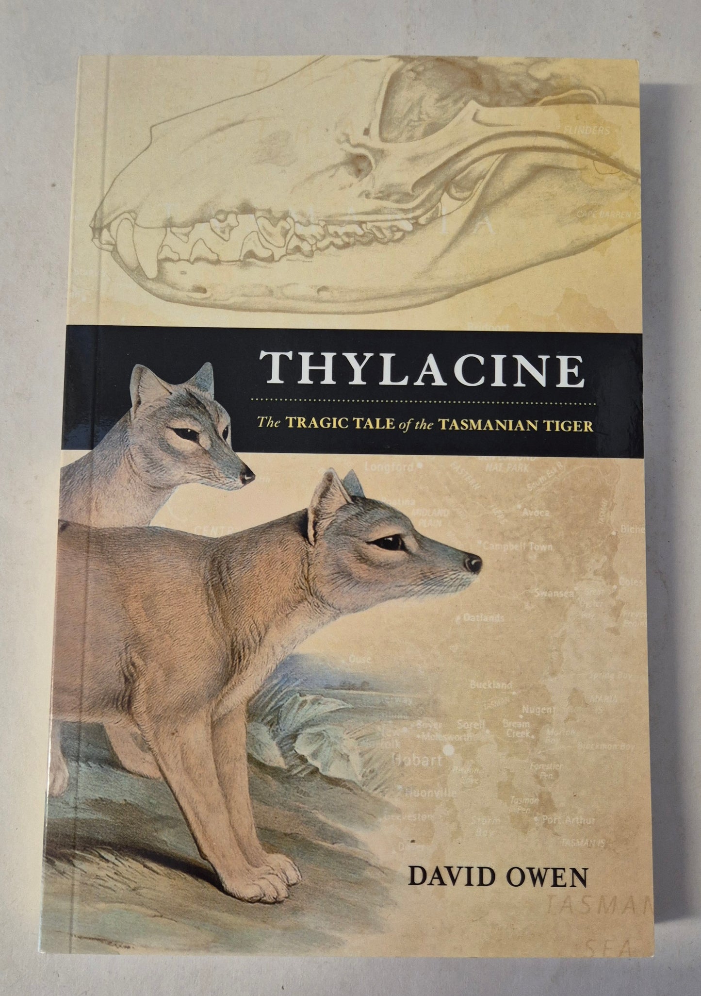Thylacine: The Tragic Tale of the Tasmanian Tiger by David Owen